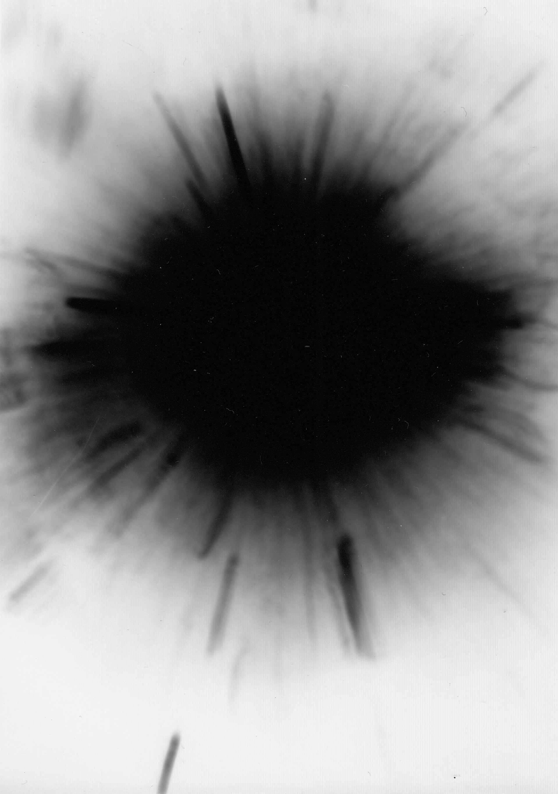(4)