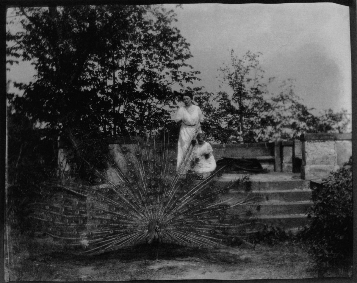 Photograph by Alphonse Mucha