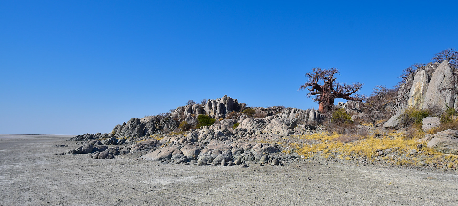 The Island