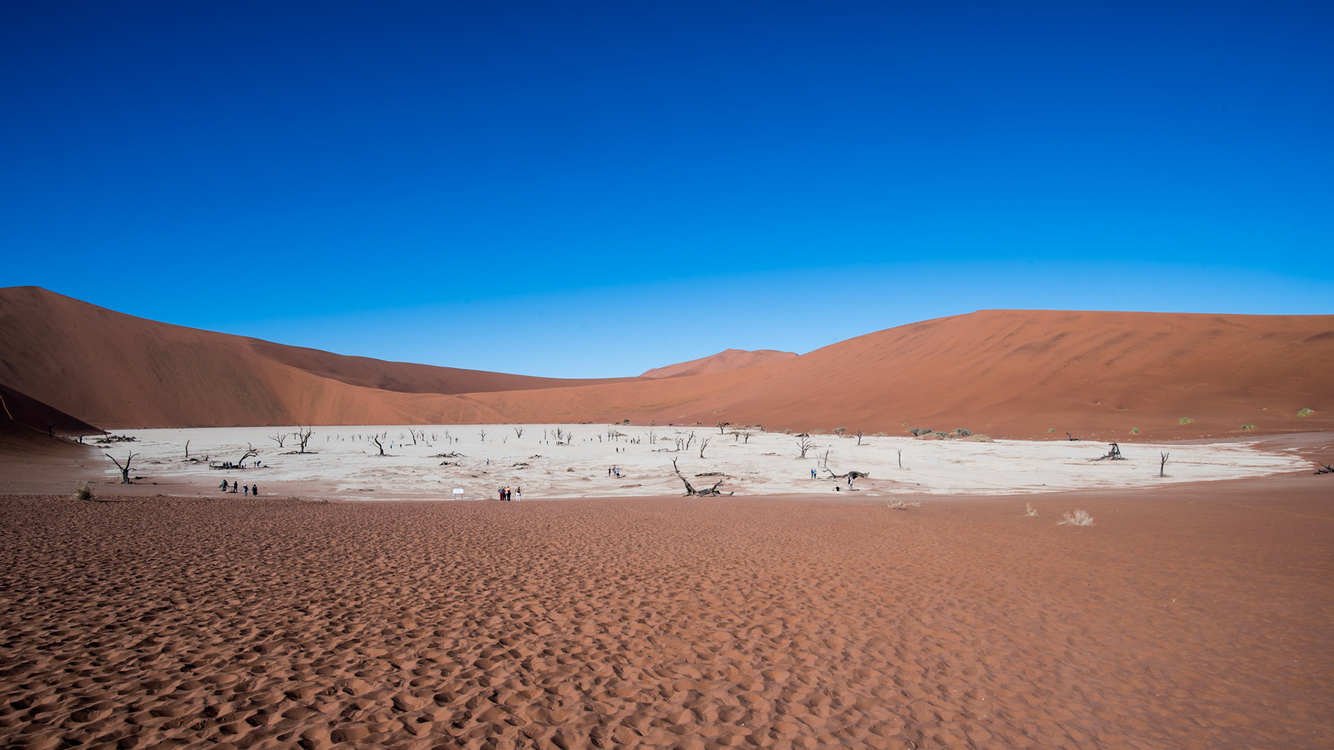 Deadvlei