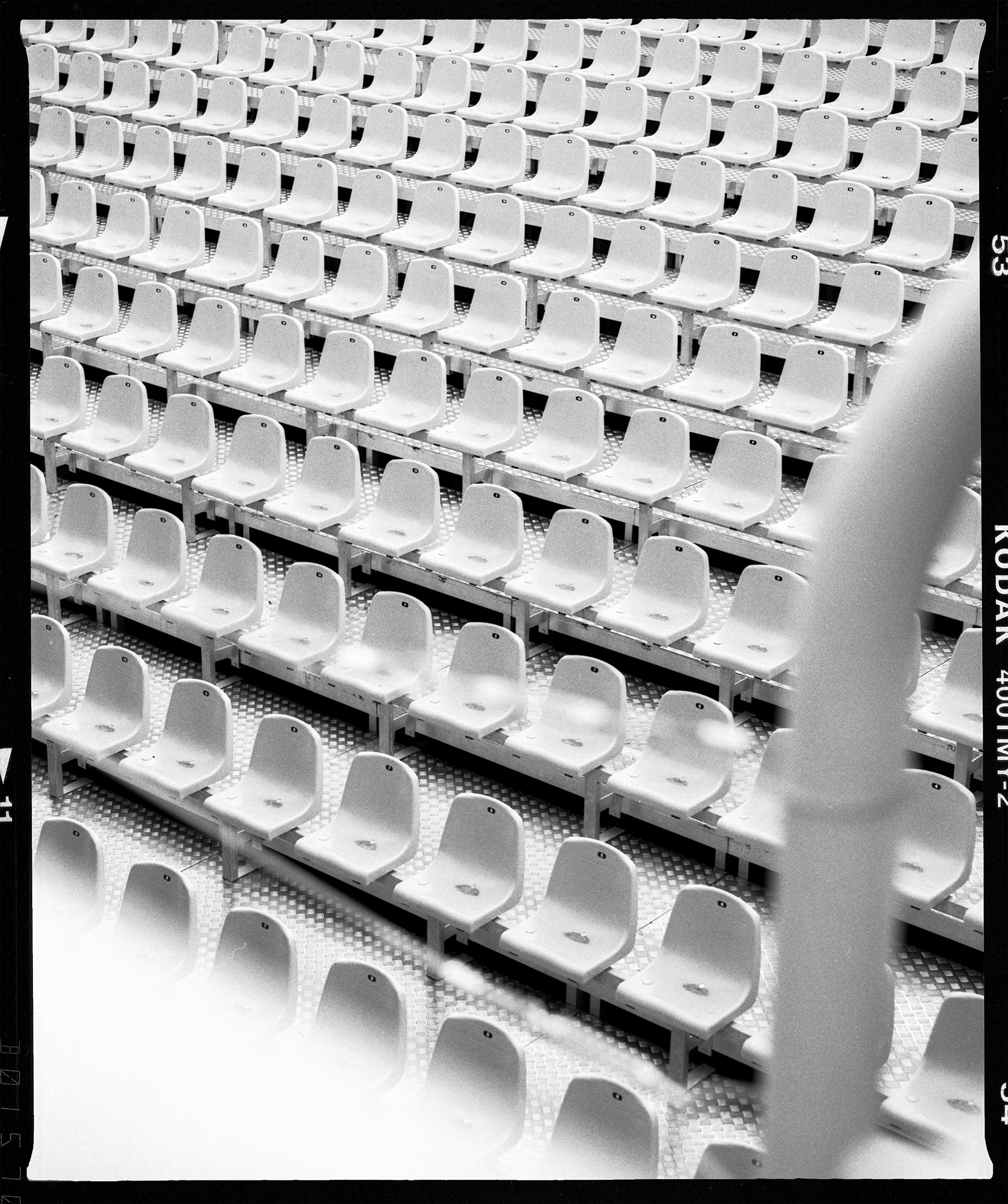 Tribuna