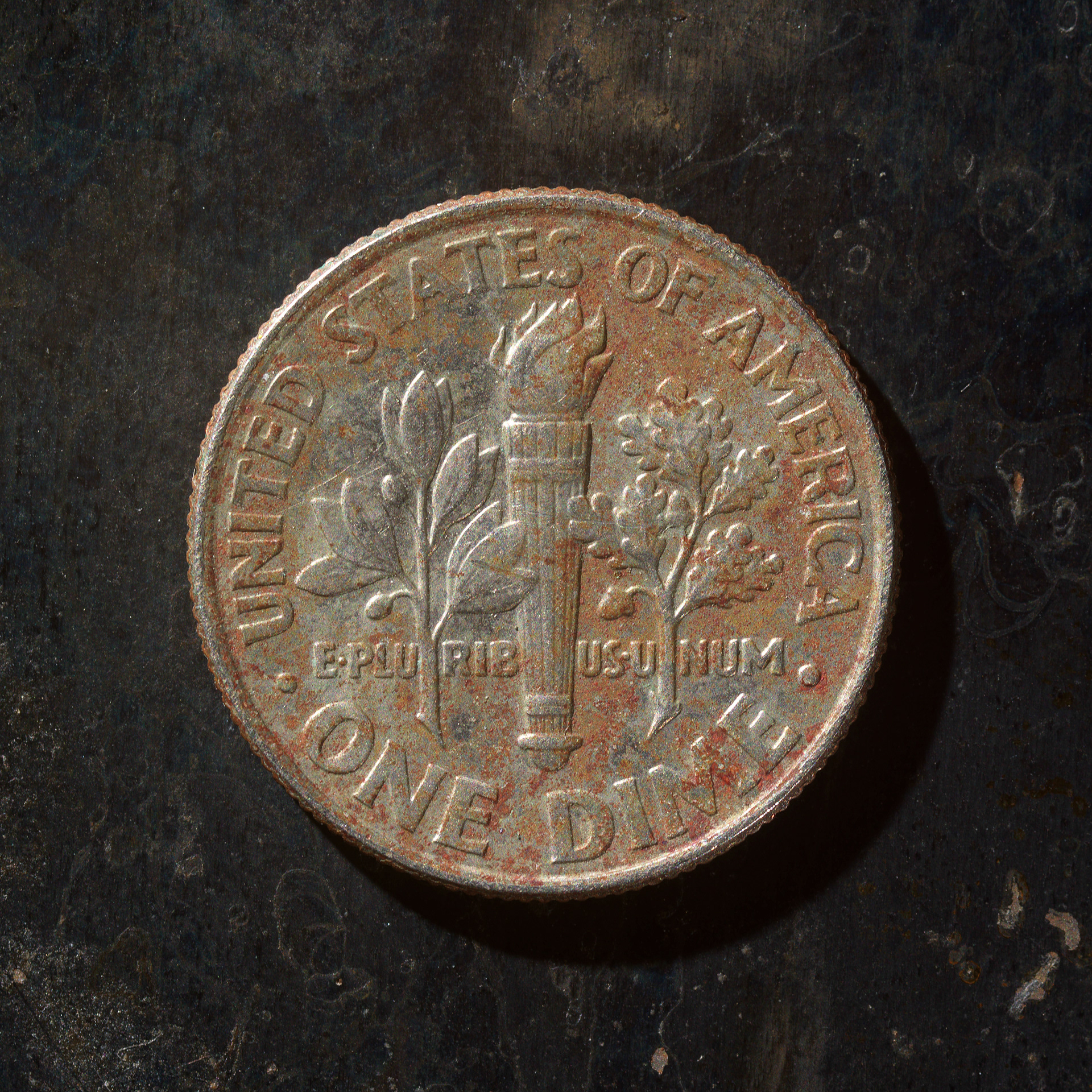 Messed Up Money Fine Art Coin Photography Dime Tails 1991 2007