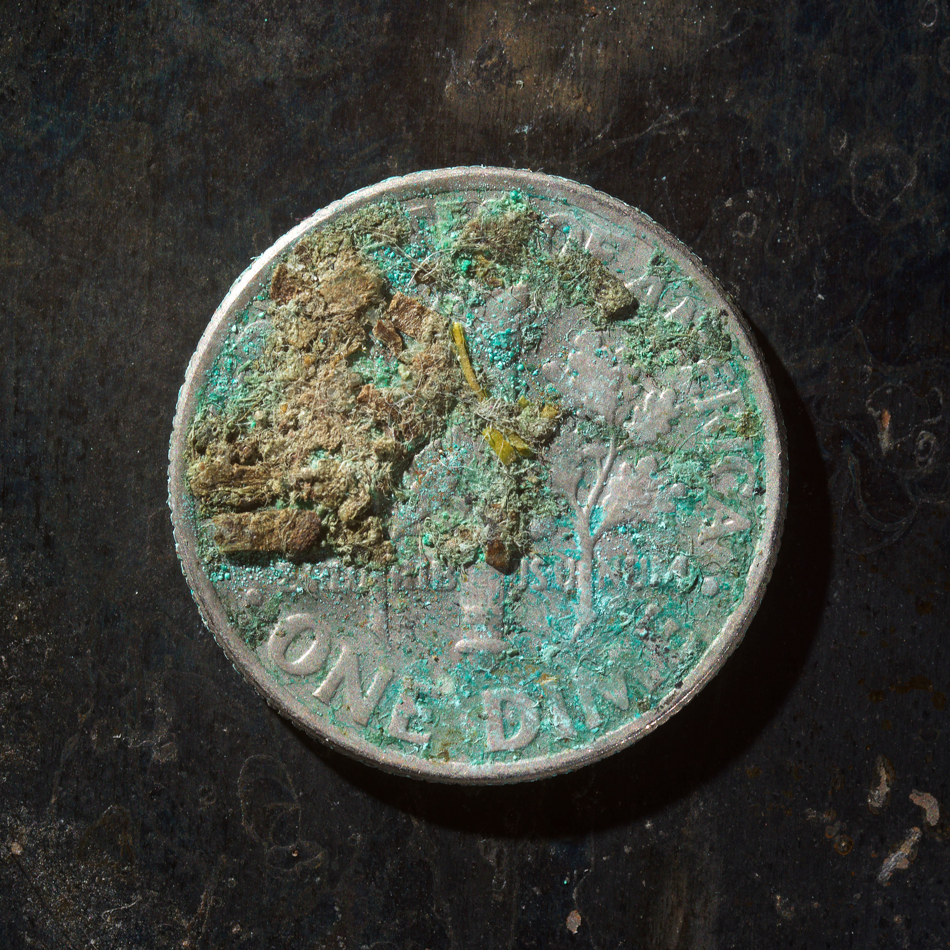 Messed Up Money Fine Art Coin Photography Dime Tails 1991 2007