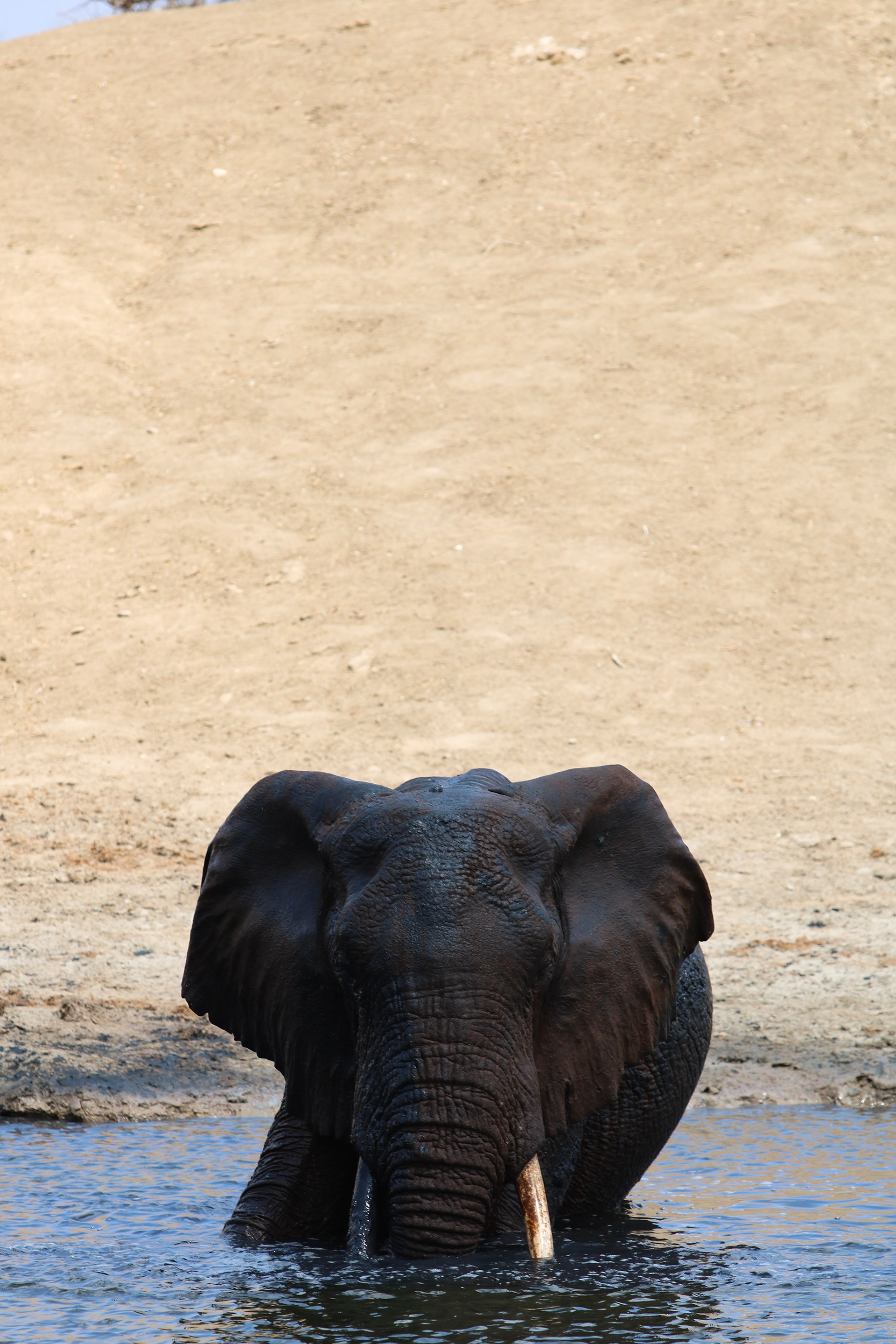 Ithumba, Tsavo East, Kenya