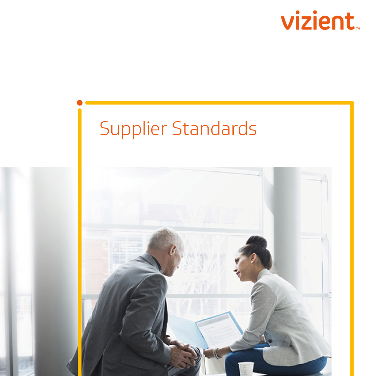 Steve Horn Design Vizient Supplier Standards Brochure