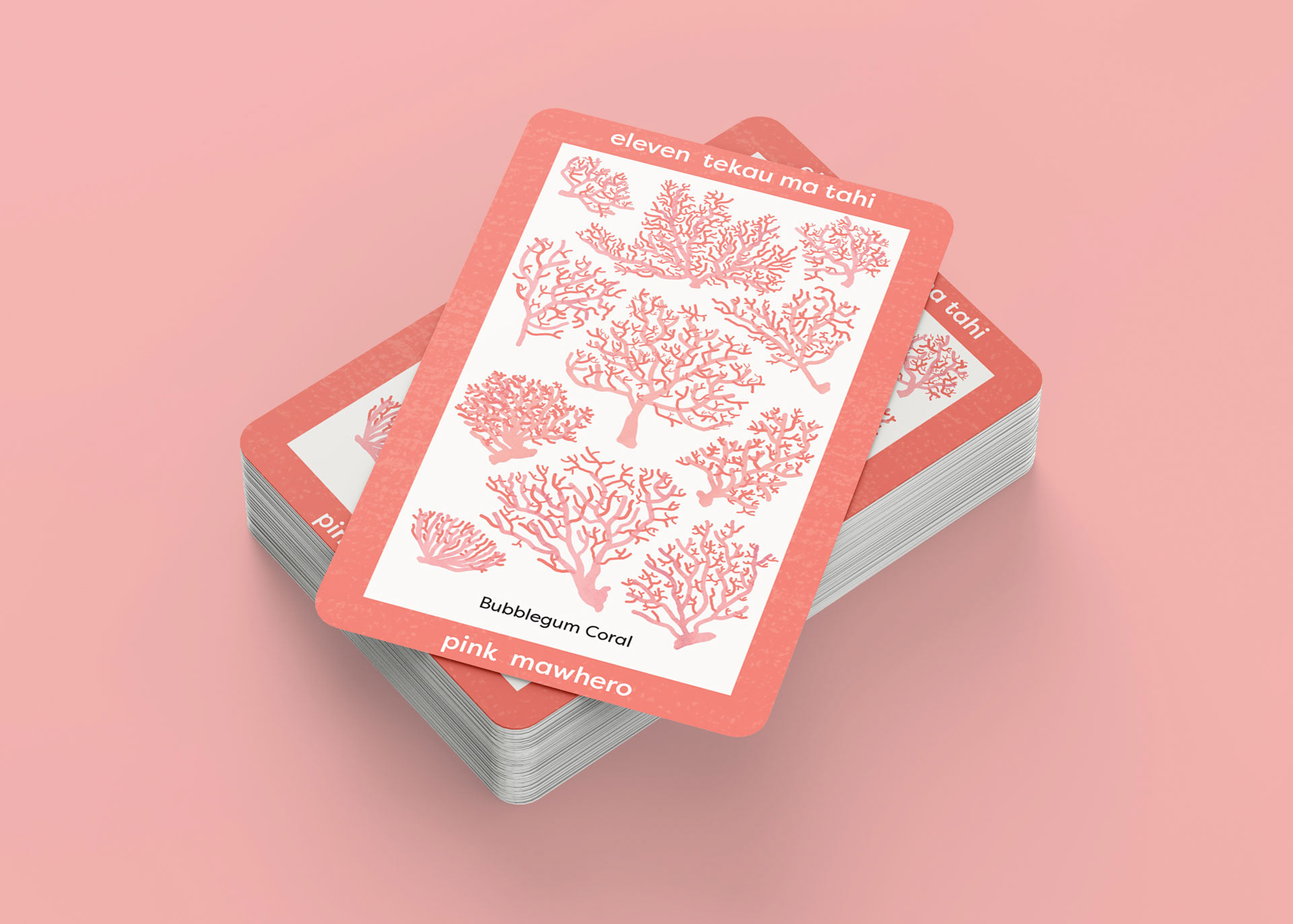 eleven pink bubblegum corals