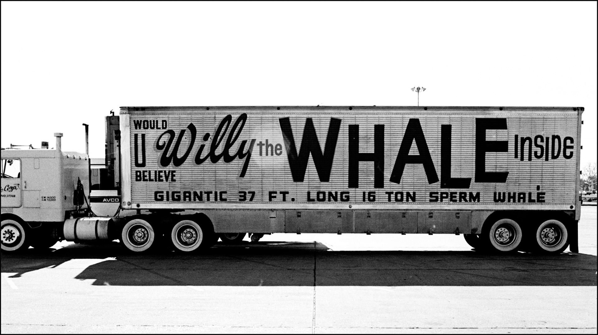 Willy Goes Inside