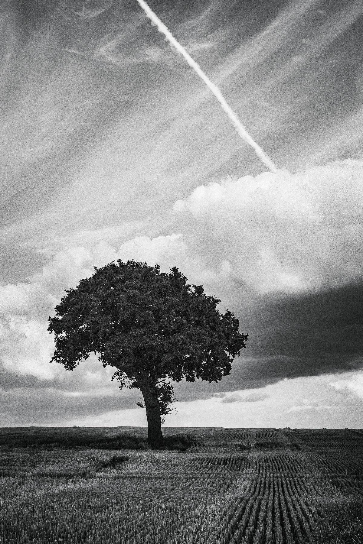 Stock, Essex, UK, August 2019