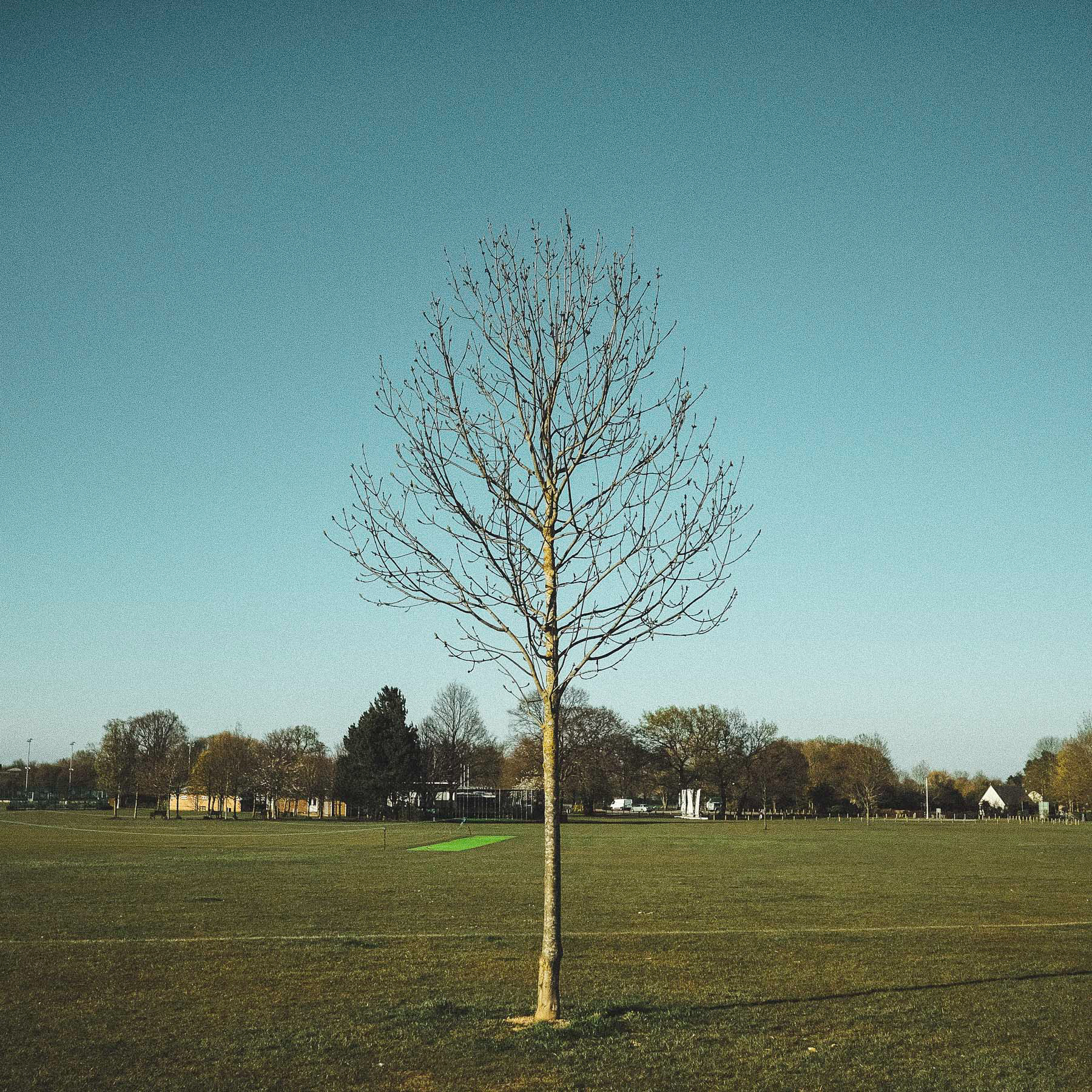 Chelmer Park, Chelmsford, April 2020