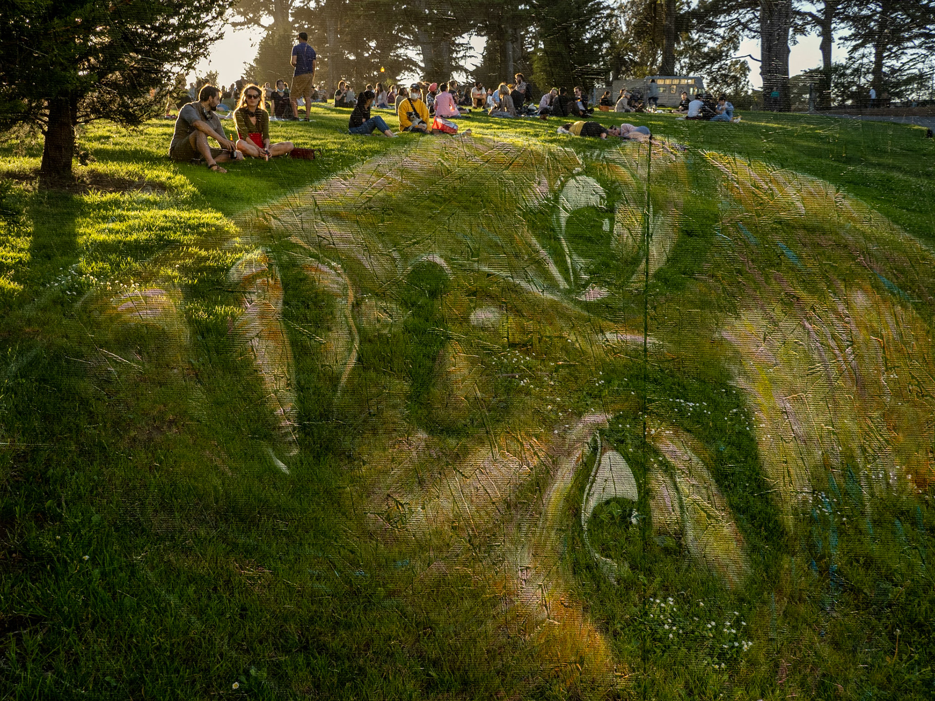 'Beneath the Surface', 9/25/20. Socially distanced socializing in Alamo Square Park. Portrait on plywood by Wesley Cabral.