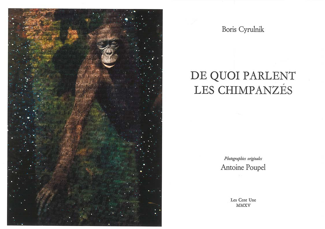 De quoi parlent les chimpanzés, Boris Cyrulnik, Illustré par Antoine Poupel, 2015 © Cent Une