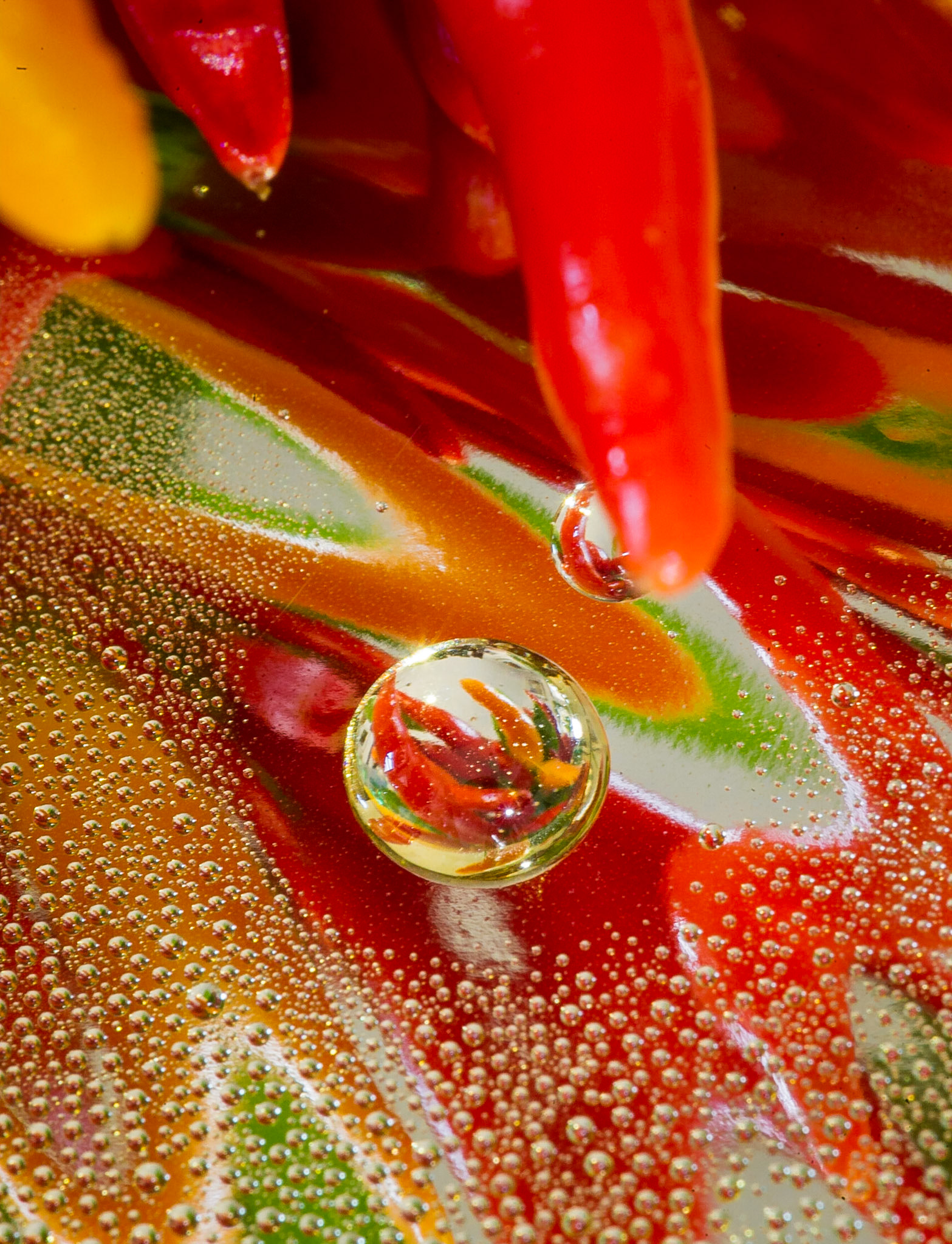 "My World In A Drop", 2012