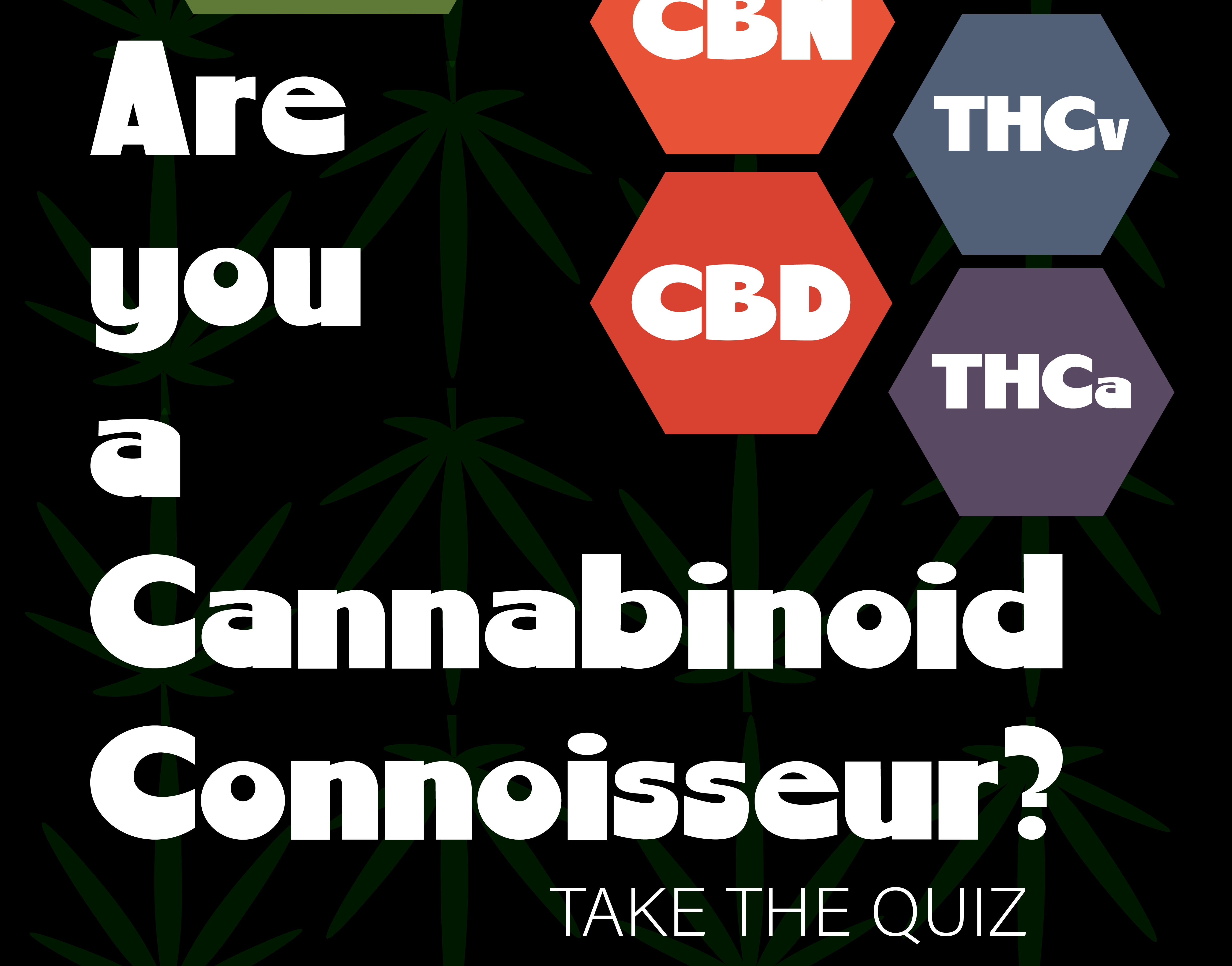 Satu Gillispie Cannabinoid Quiz