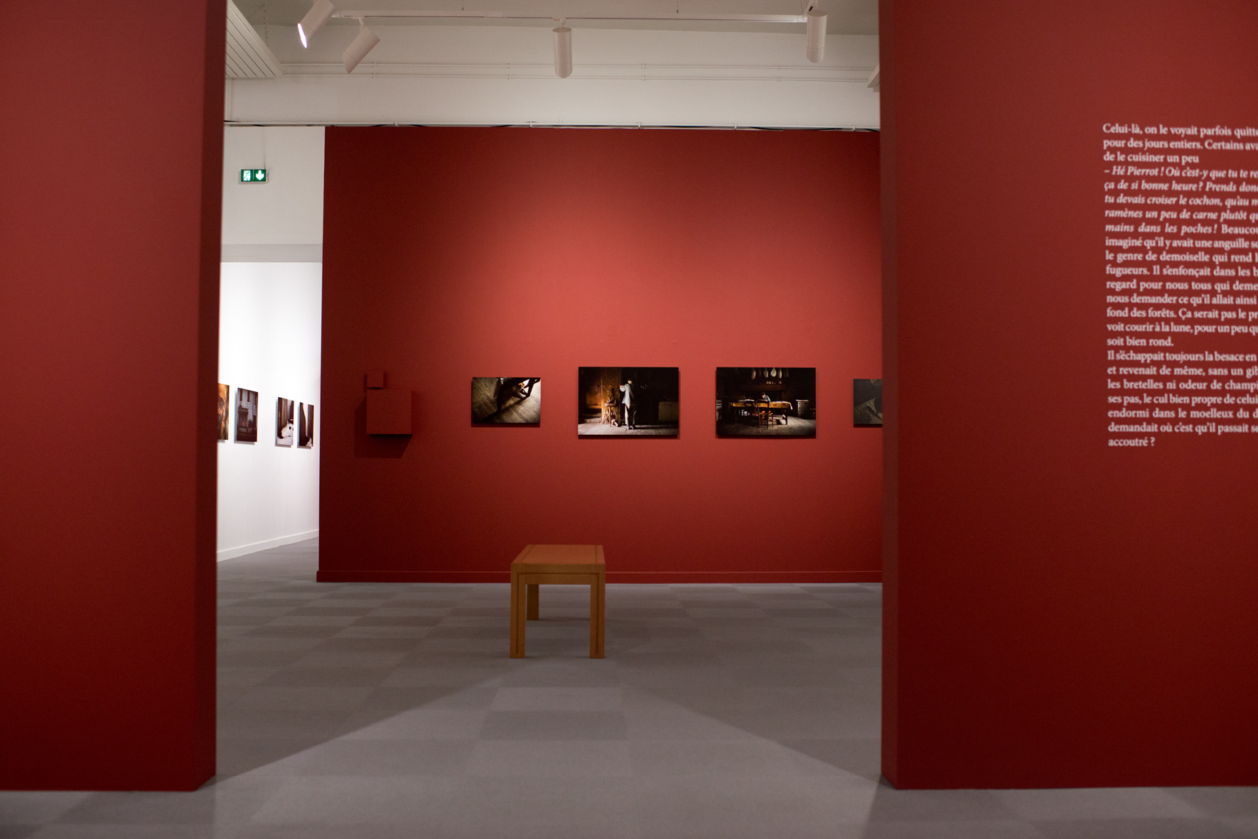 Saisons noires - Musée de La Roche-sur-Yon – 2016