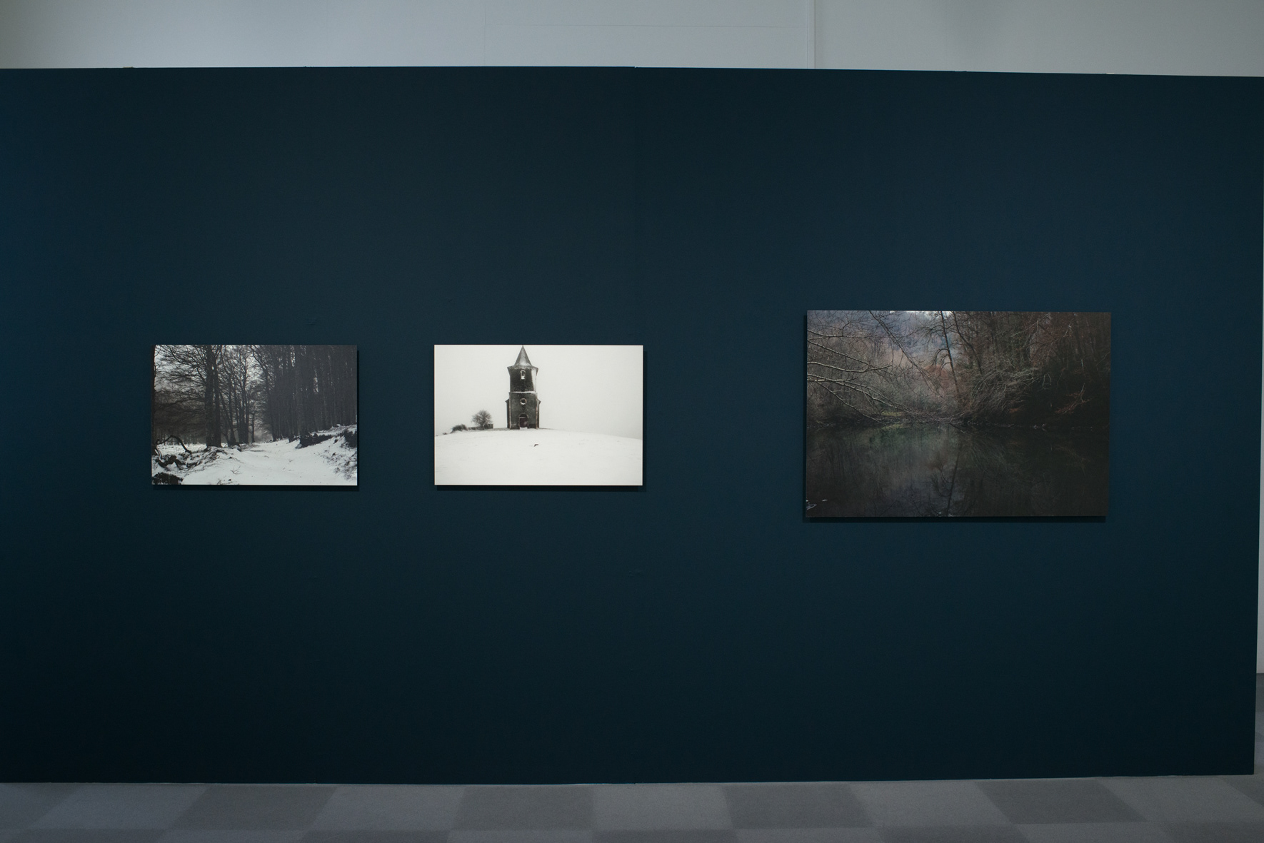 Saisons noires - Musée de La Roche-sur-Yon – 2016