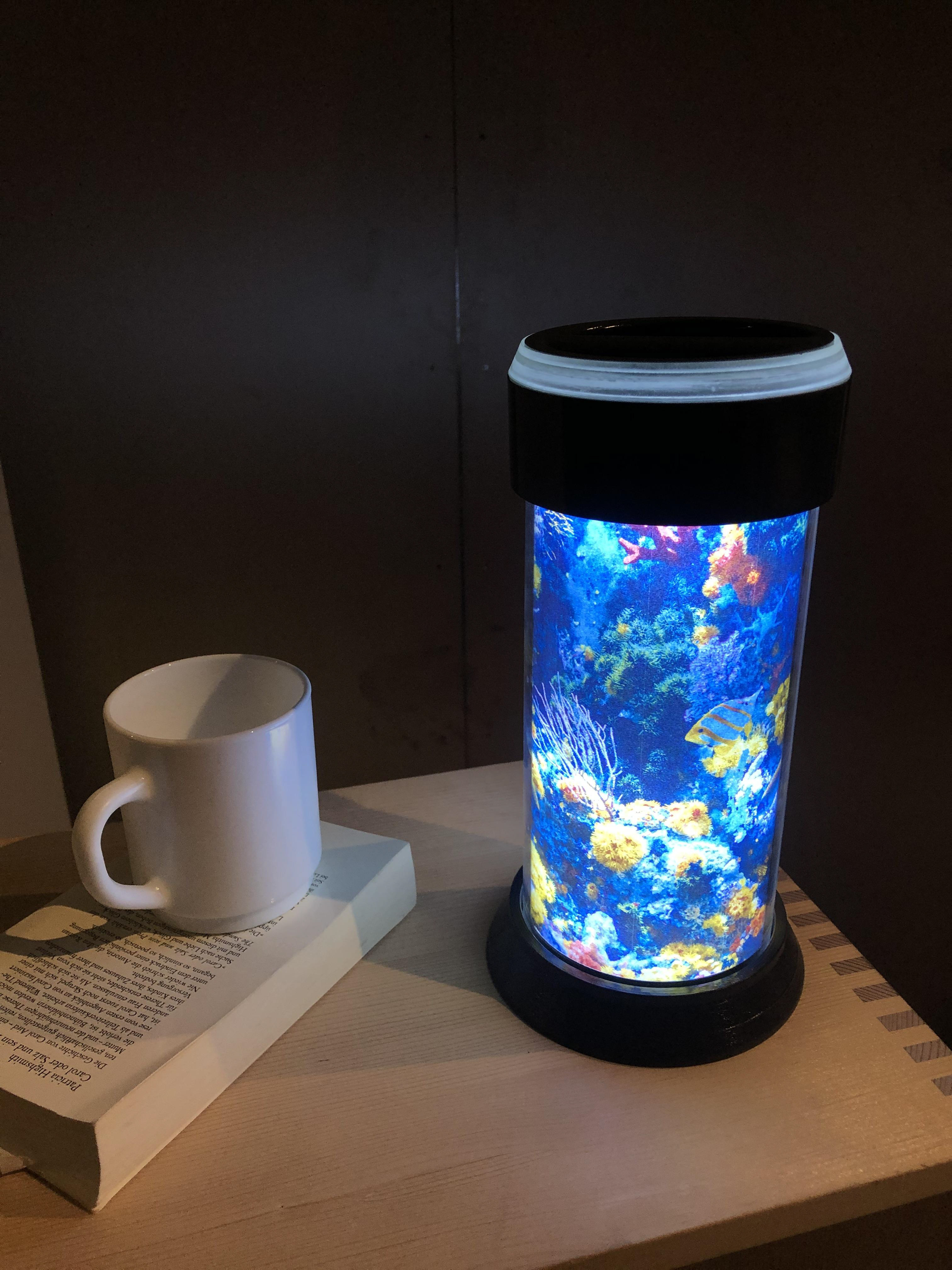 Customized Polaris lamp