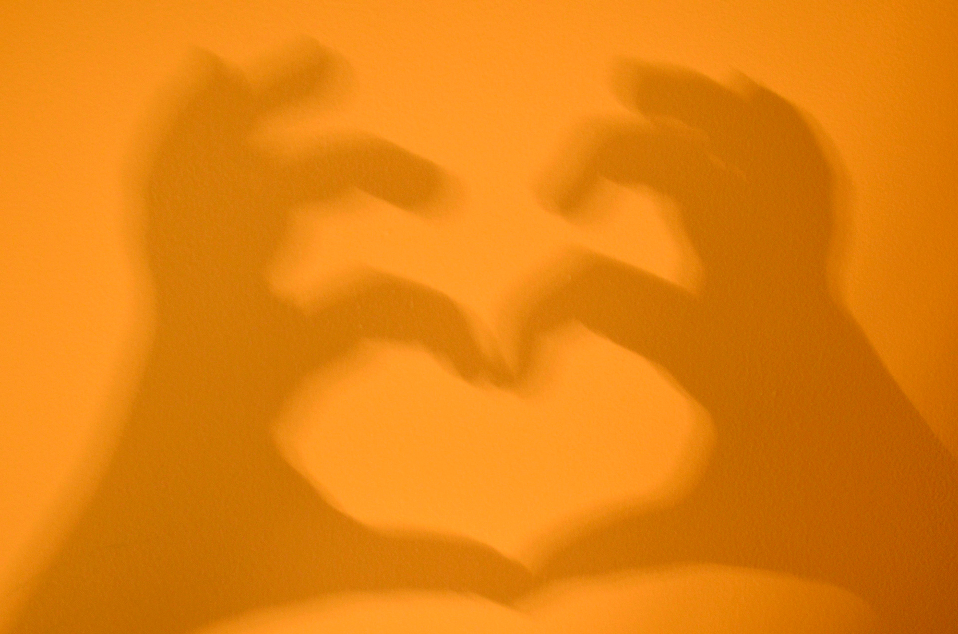 © Jenny Laudi