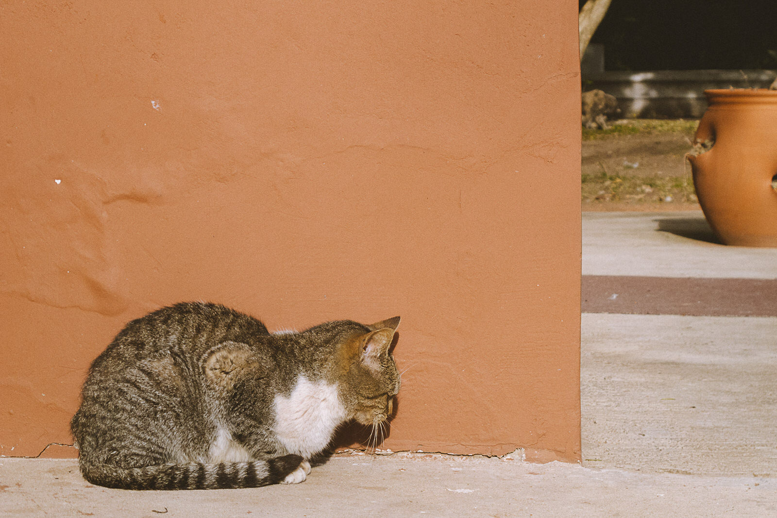 Jardín Botánico de Buenos Aires