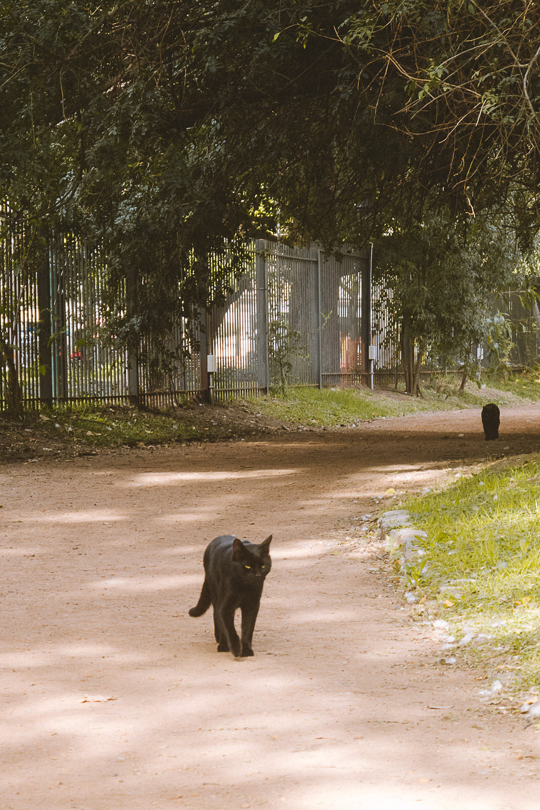 Jardín Botánico de Buenos Aires