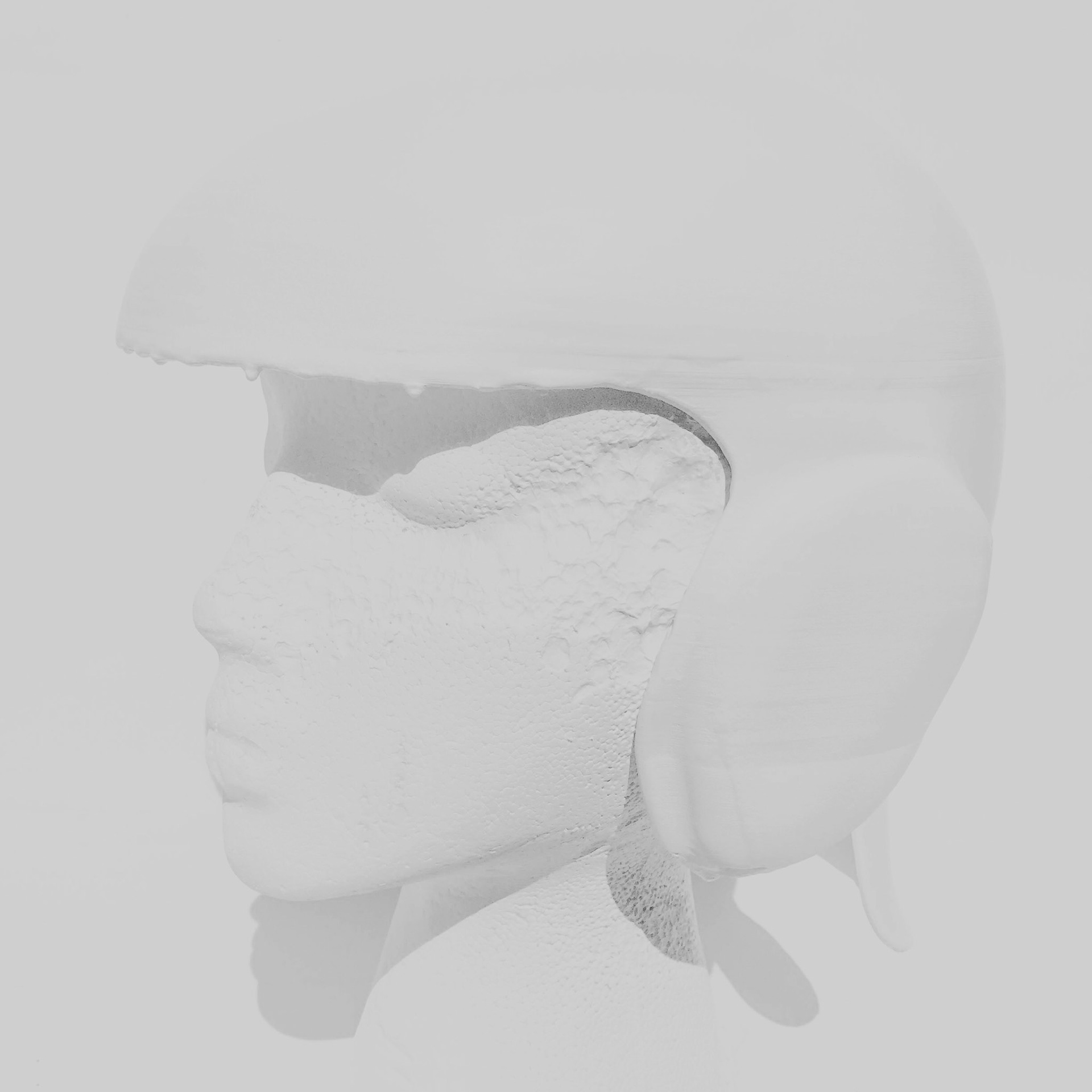 DIY Pandemic White
