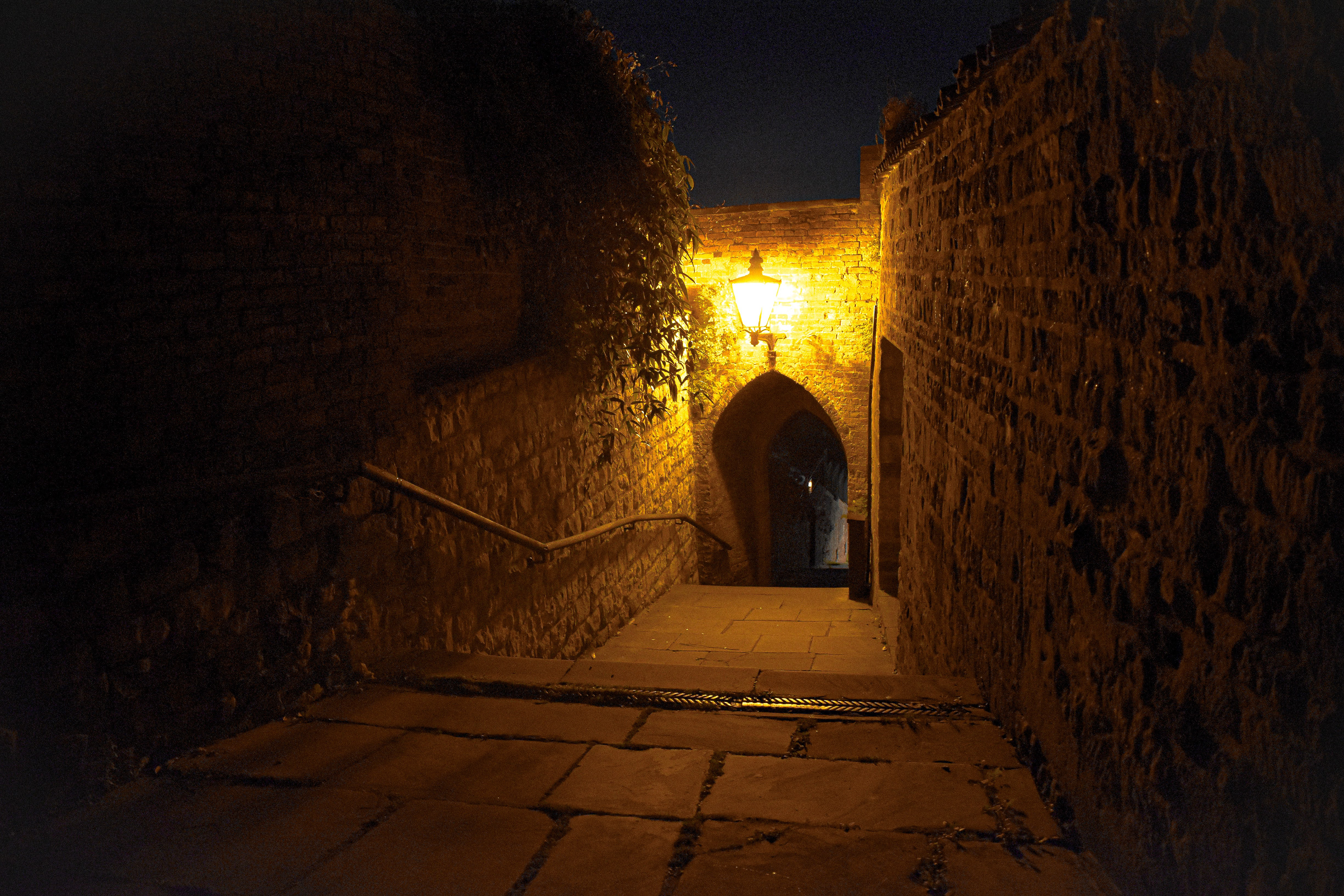 The Lit Tunnel
