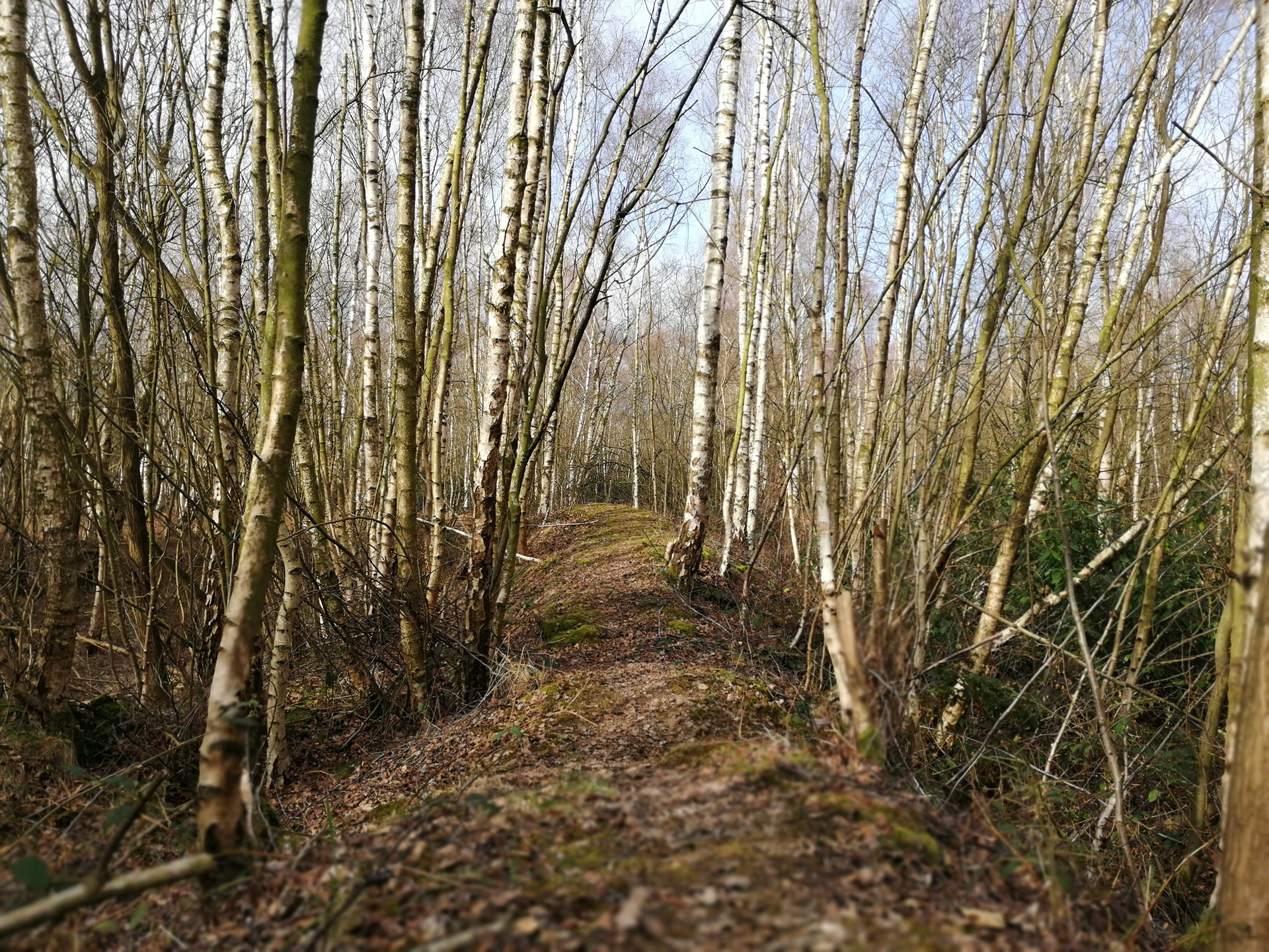 Downpath