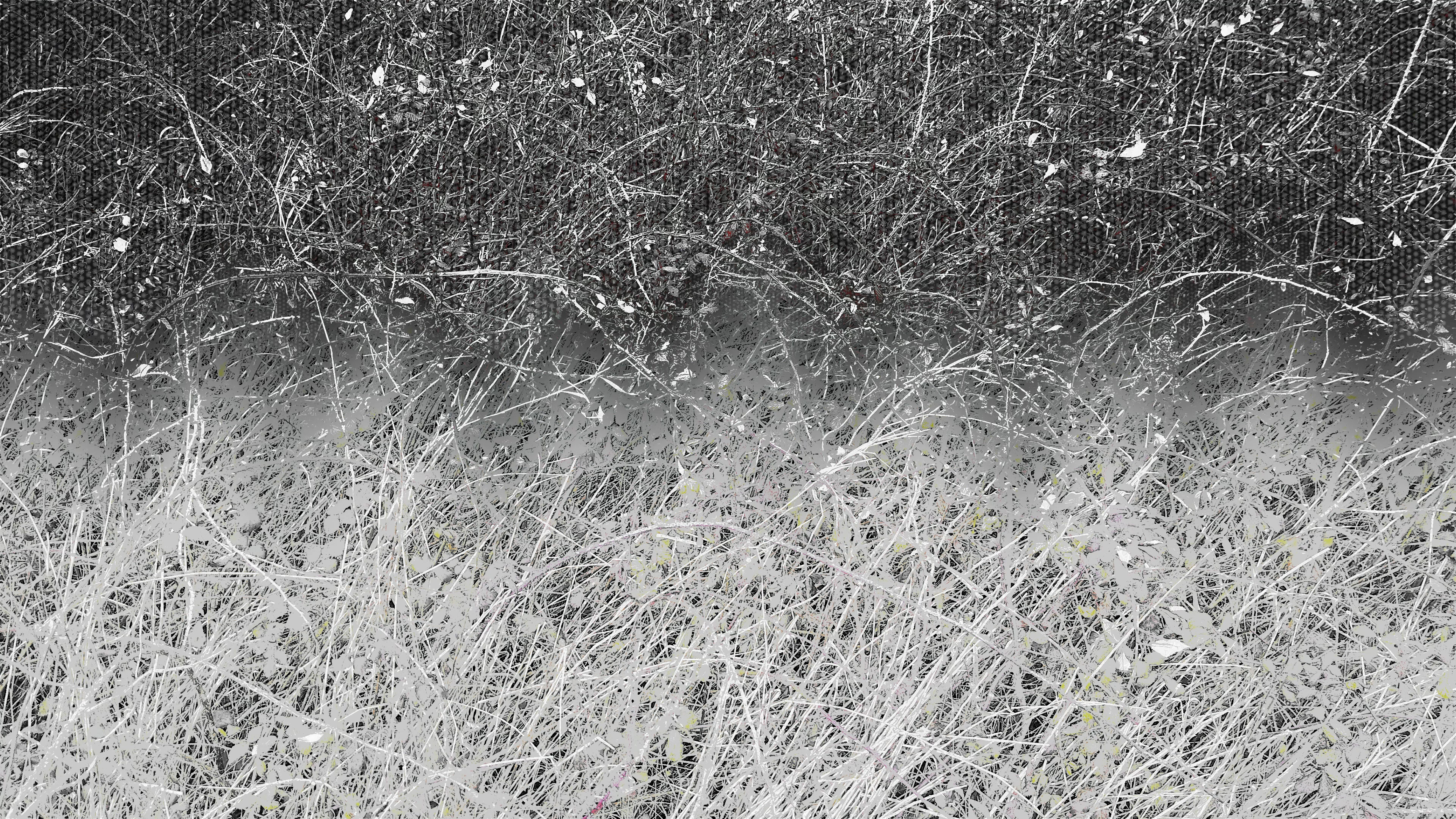 Harbour Field 3