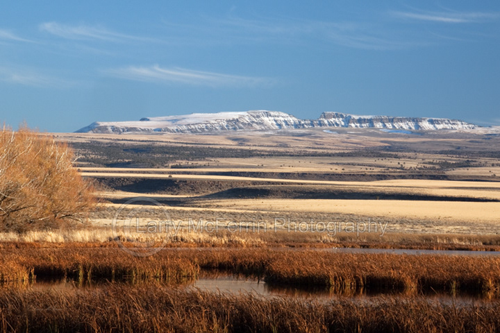 November Steens, Steens Mountain, Oregon - Image #1838