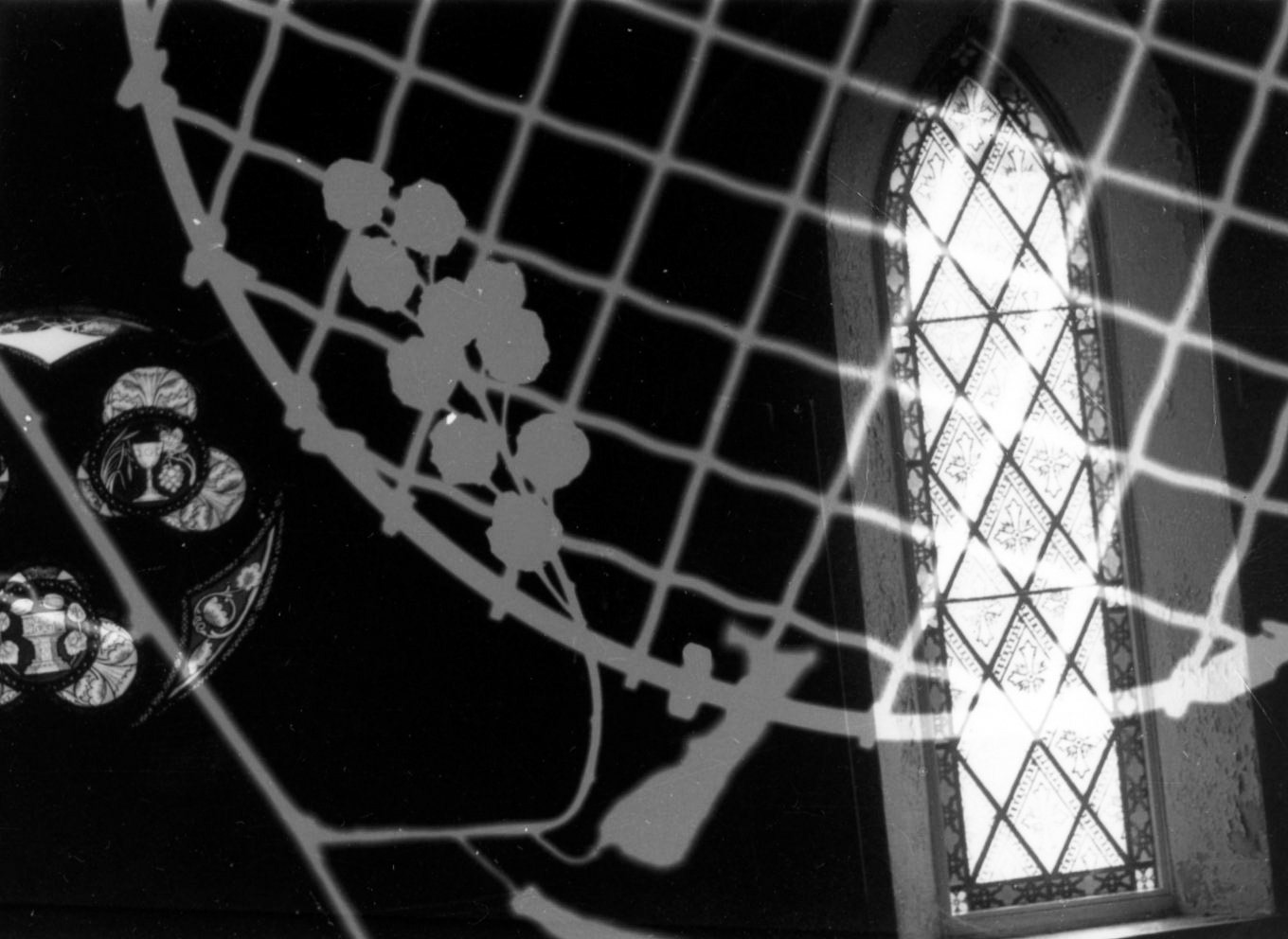 Untitled. Photogram Collage. Variable. 2020.
