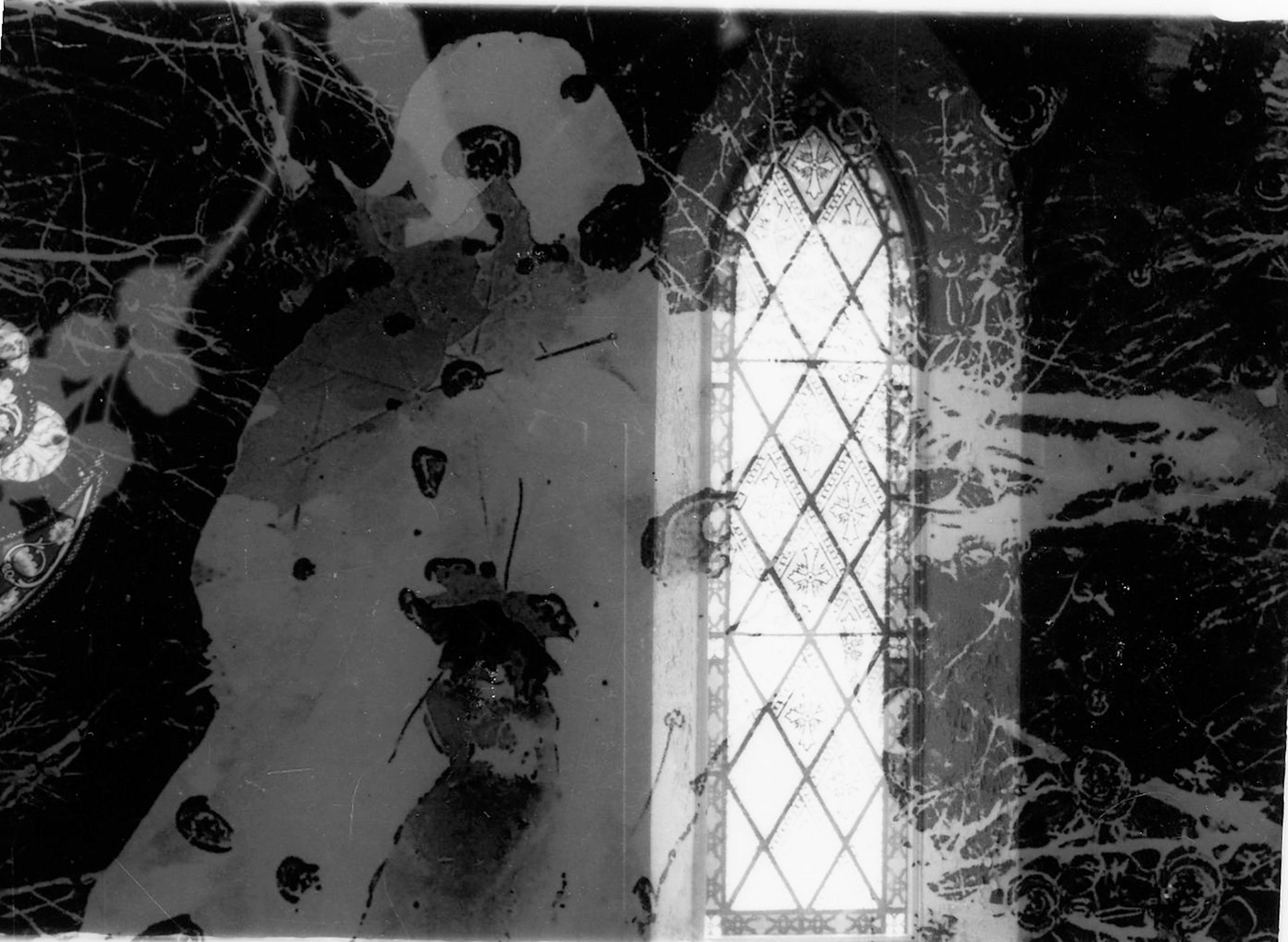 Untitled. Photogram Collage. Variable. 2020.