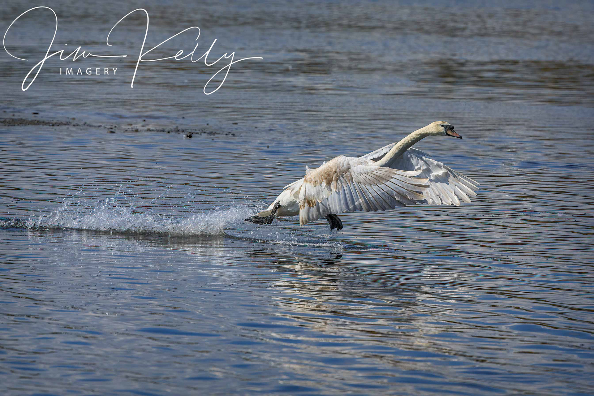Walking on Water (Ref: DIG15745)