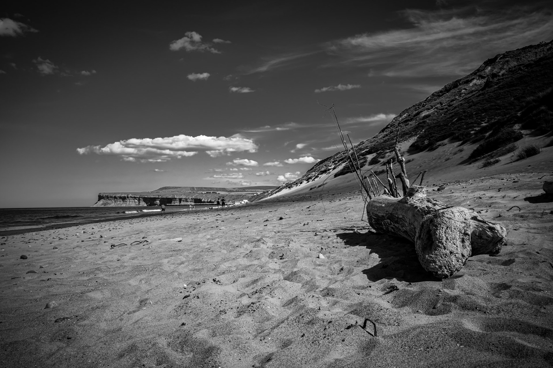 Driftwood