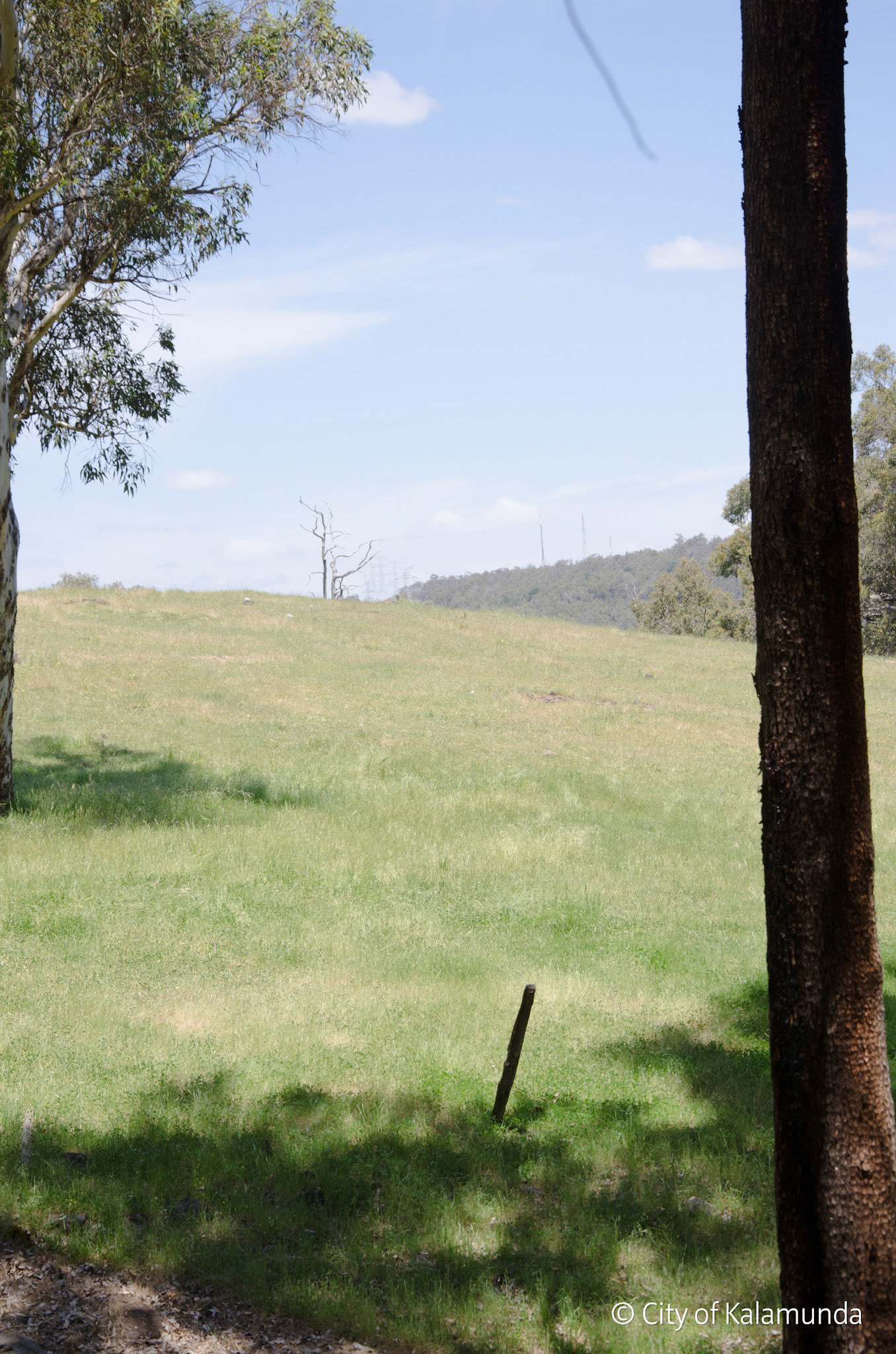 Piesse Brook