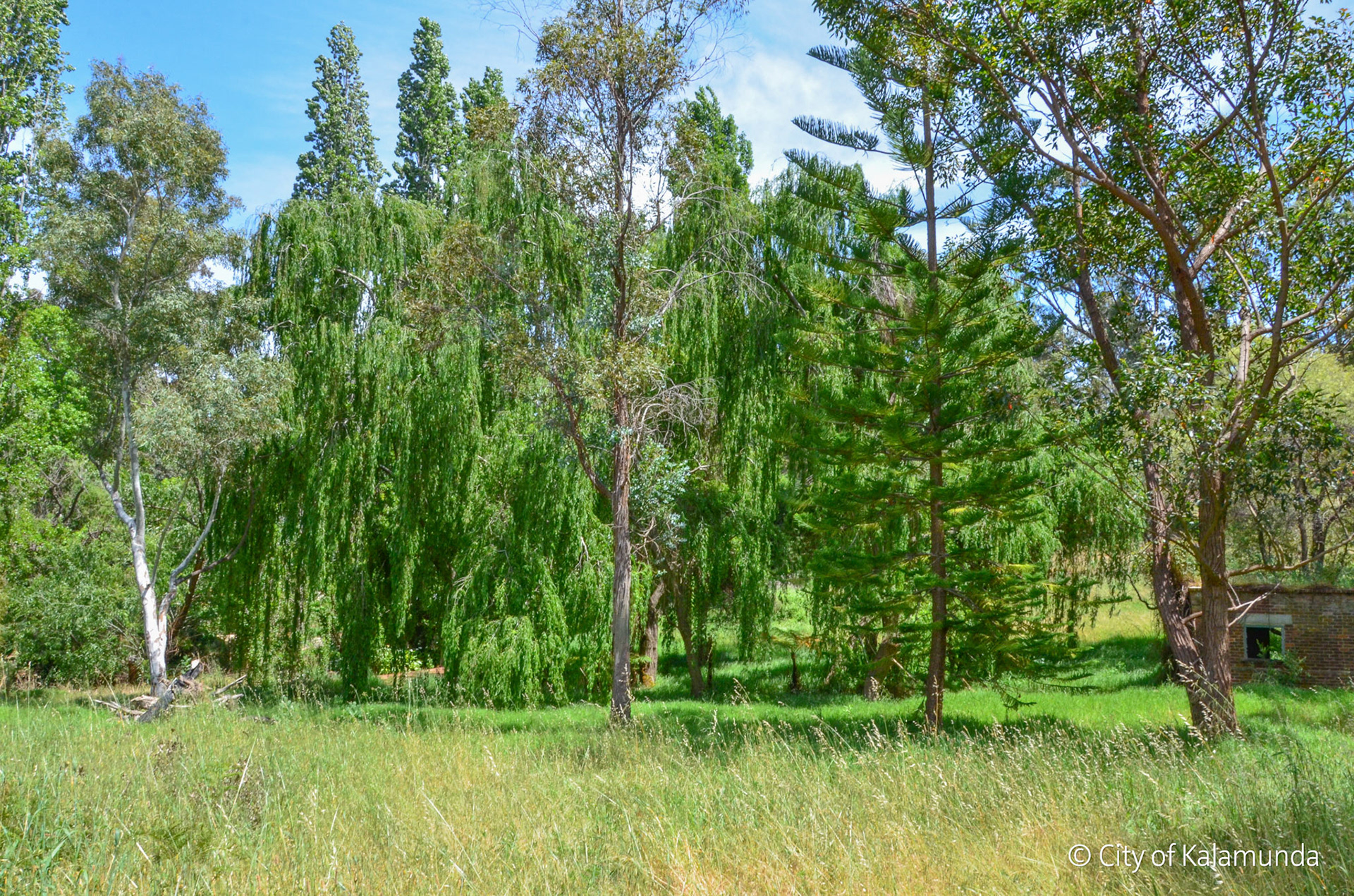 Kalamunda