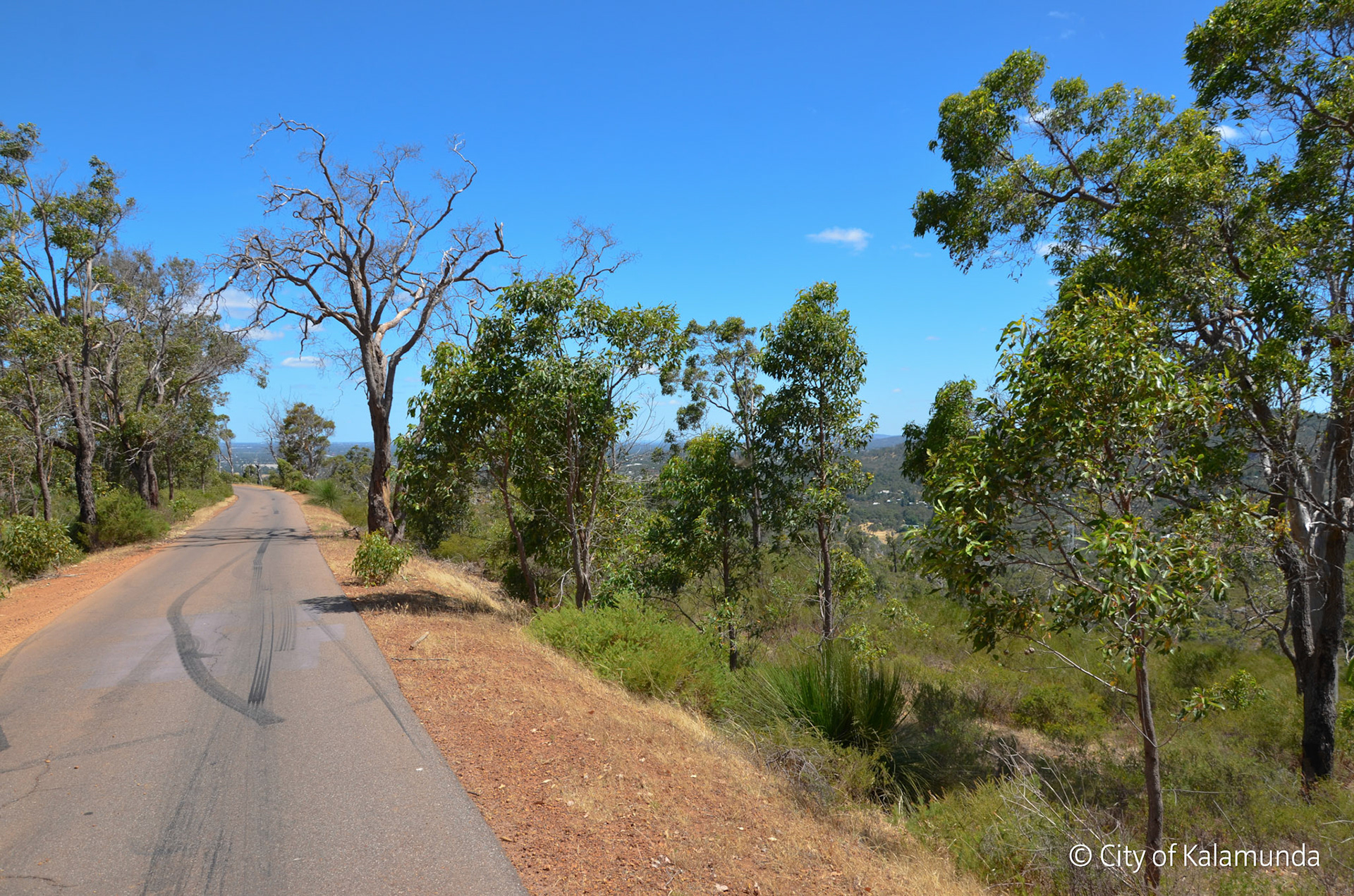 Gooseberry Hill