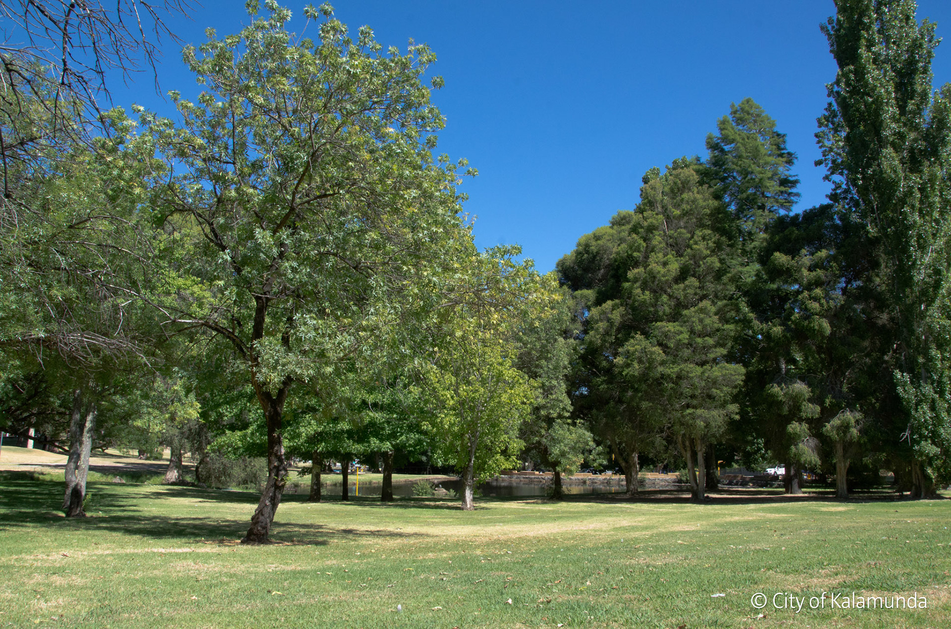 Kalamunda