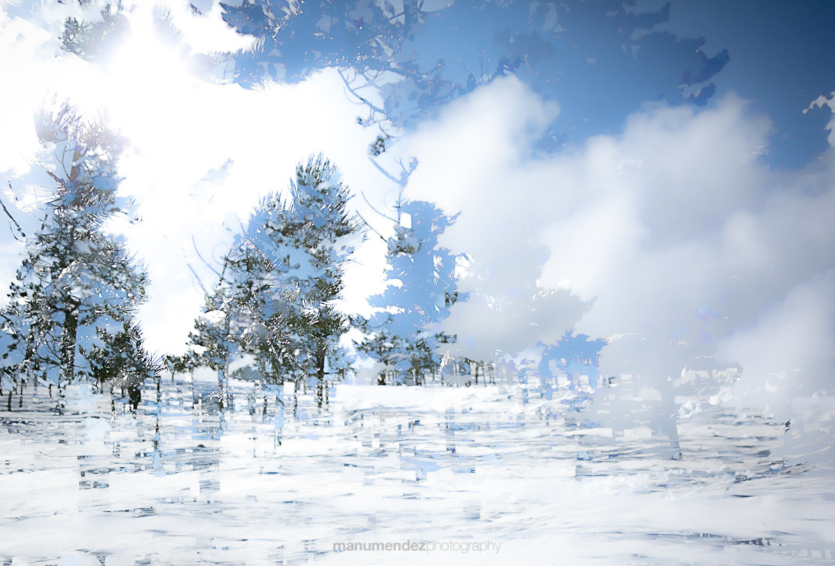 Trees and clouds
