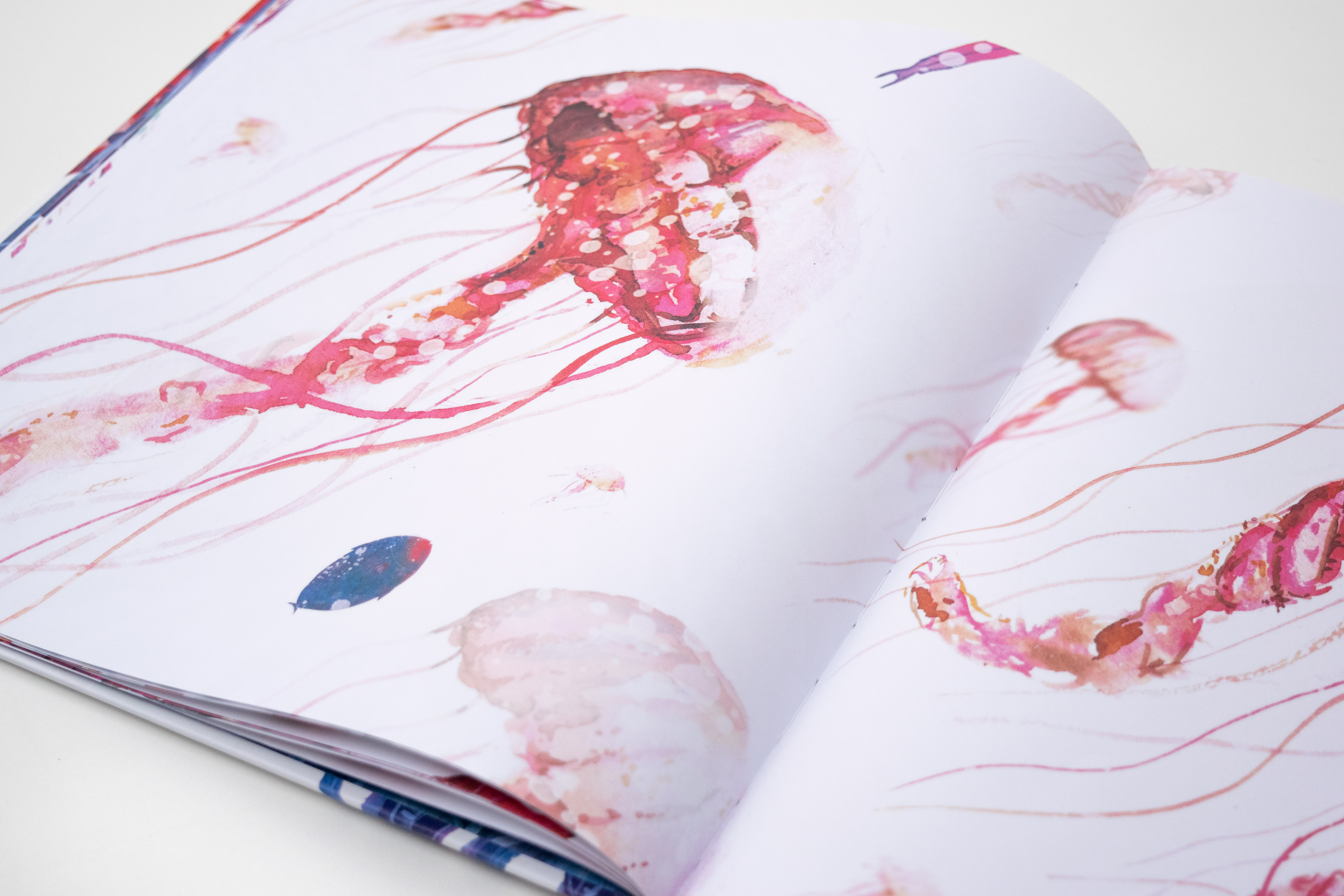 Libro Infantil Grande - Pablo Choca