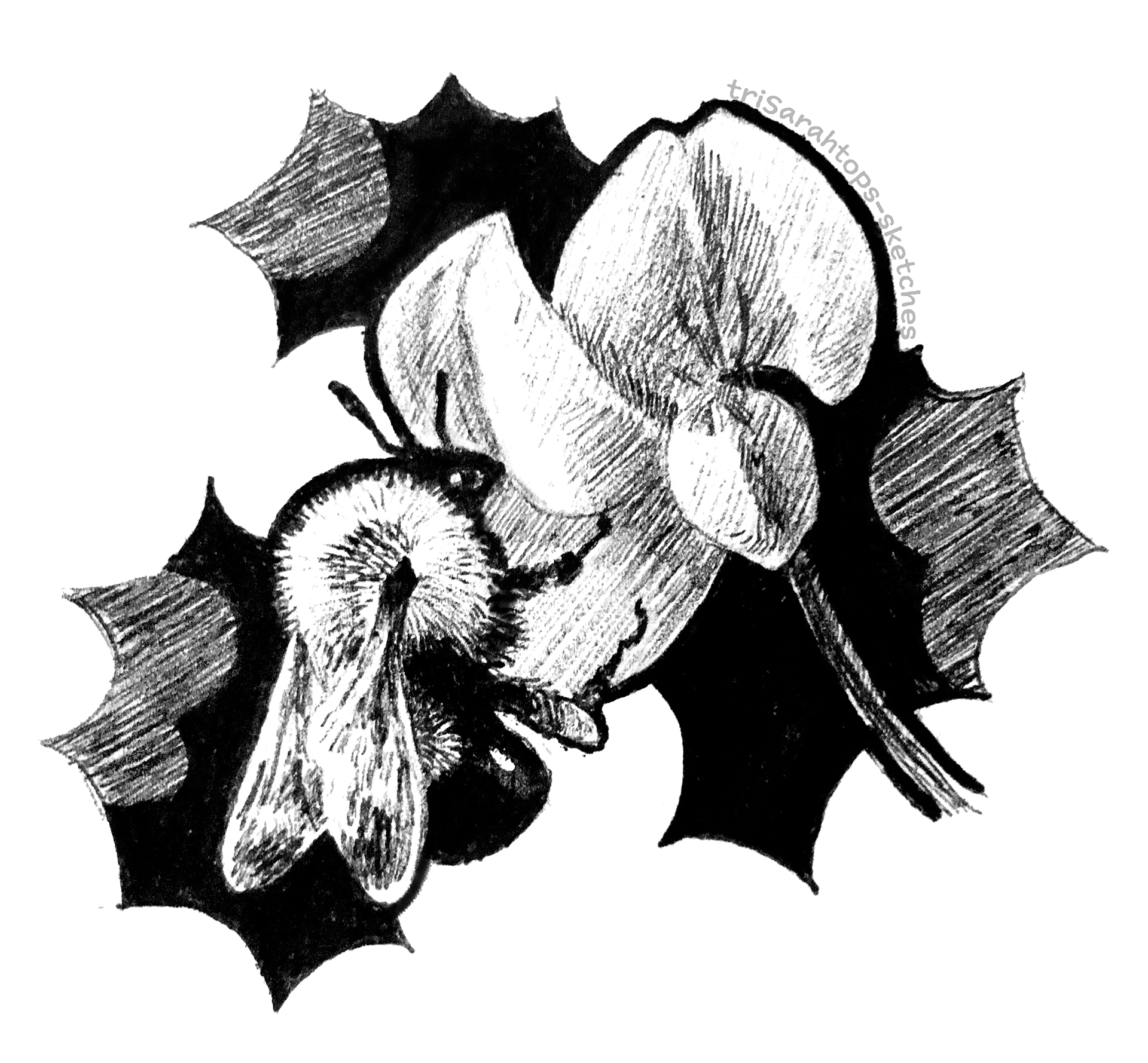 Bee; Ink