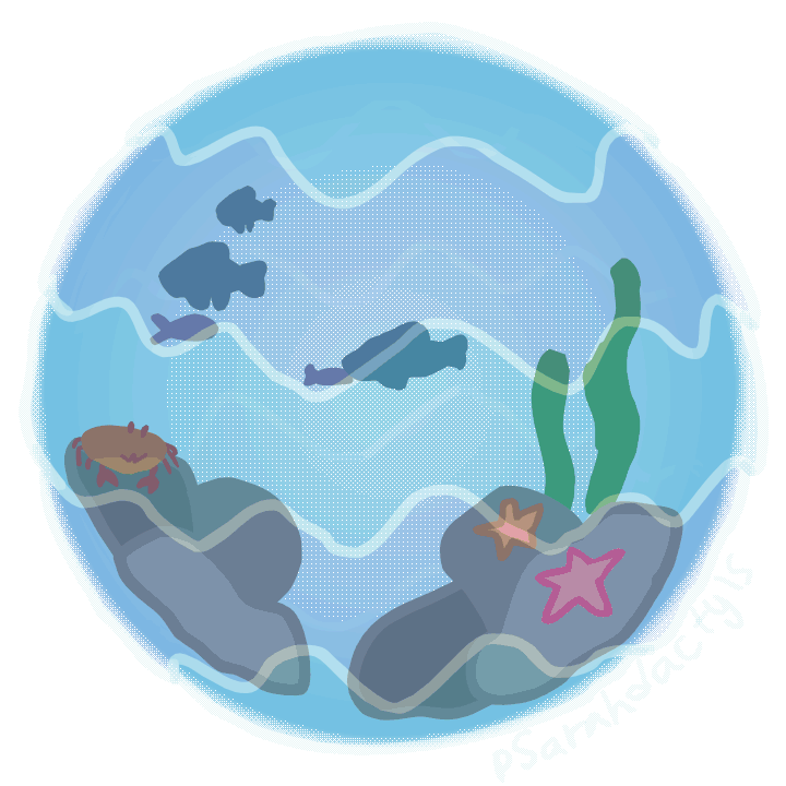 Aquarium