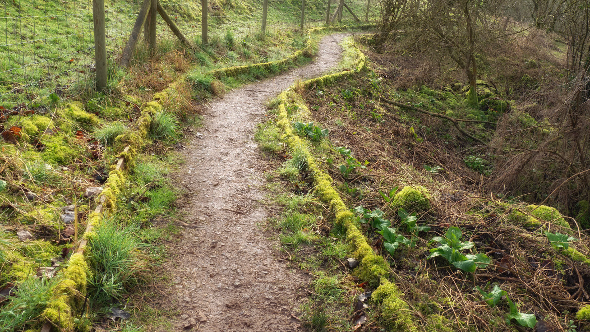 Letcombe Valley Nature Reserve