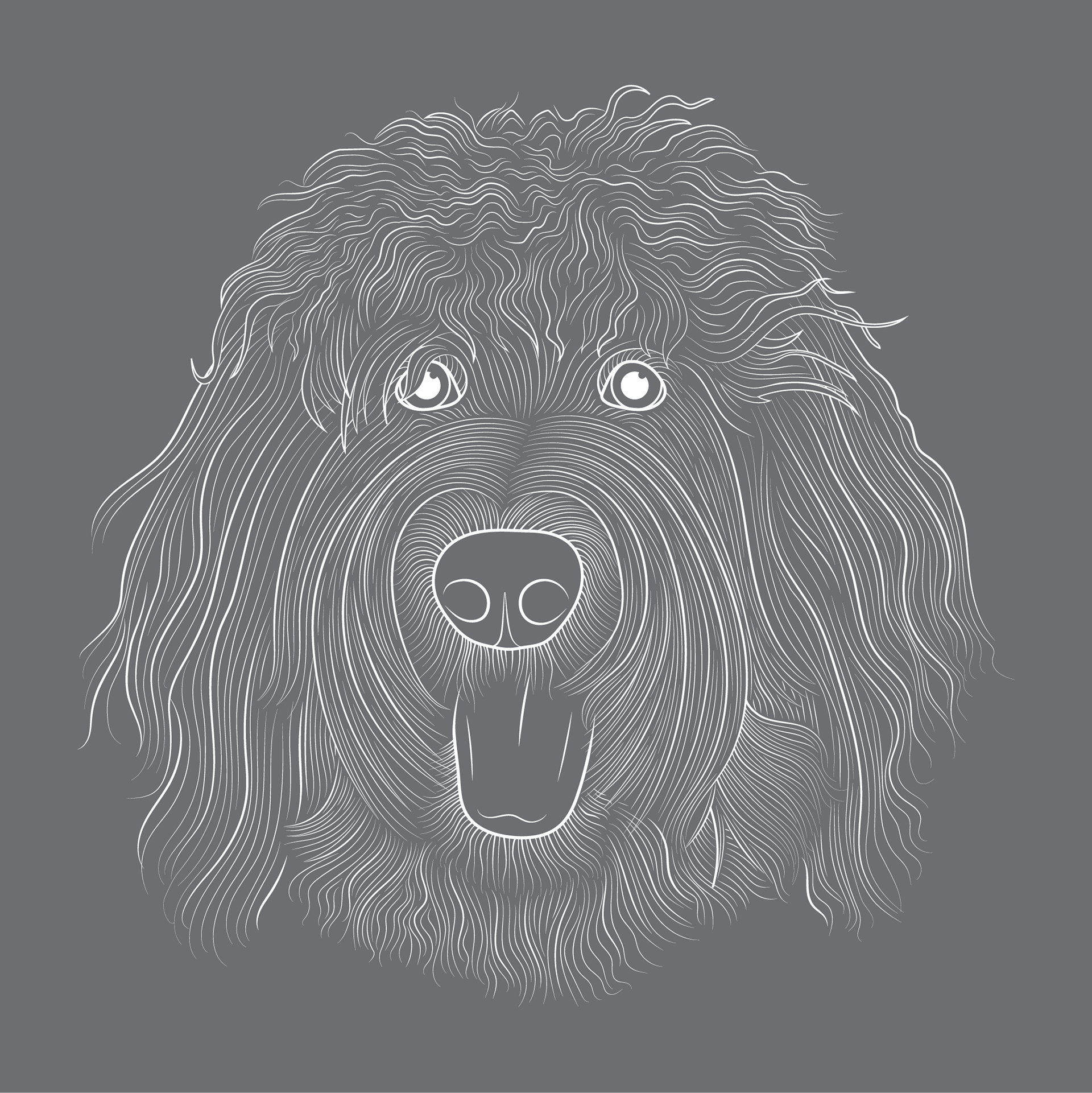 Hank the Doodle
