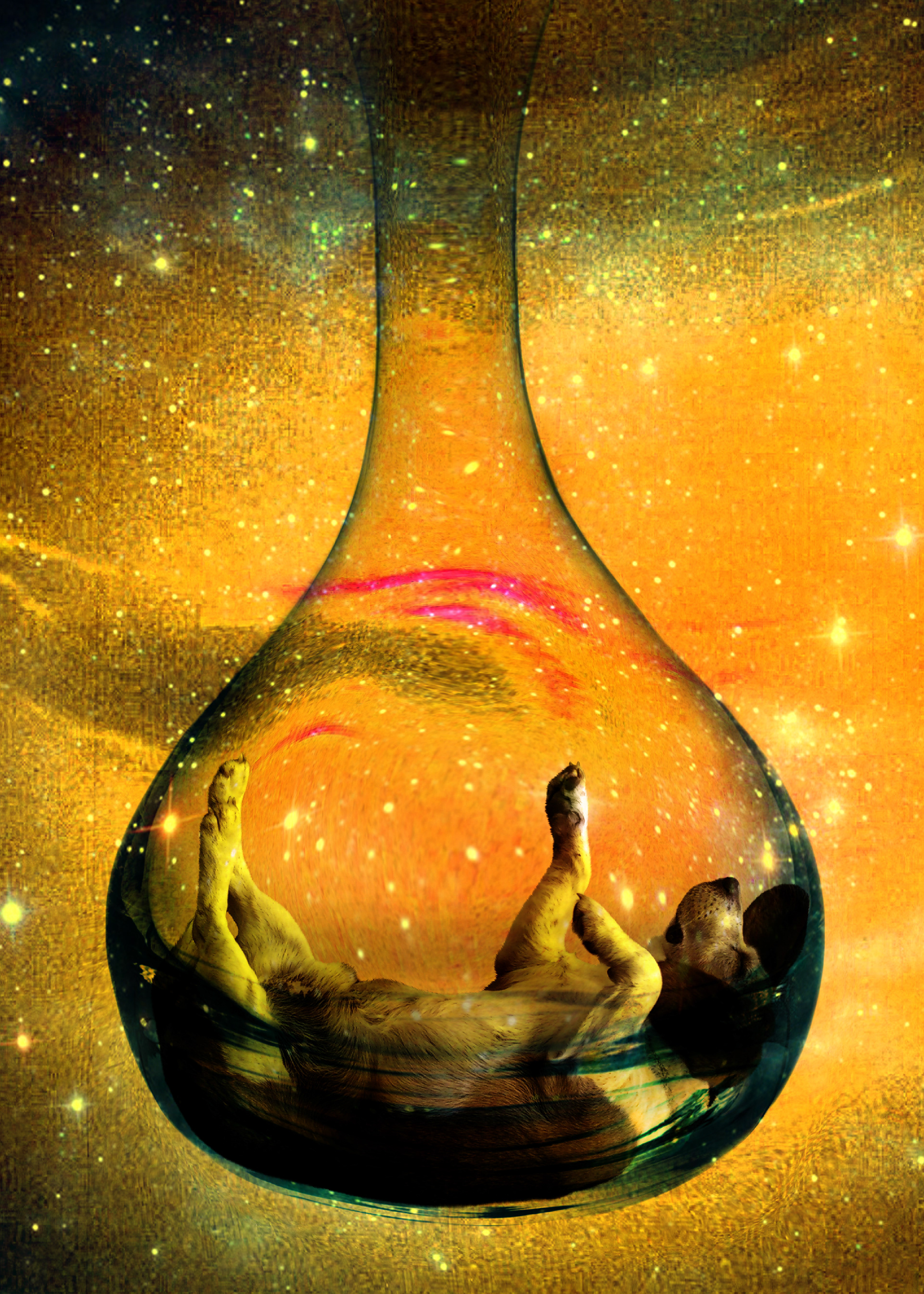 Raining Gary. Available at: https://displate.com/displate/1151499