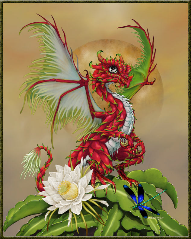 DRAGON FRUIT