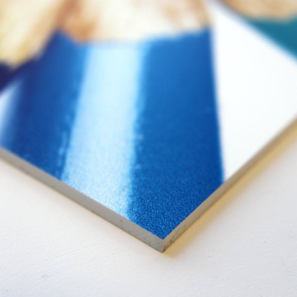 vinyl on 5mm Foamex