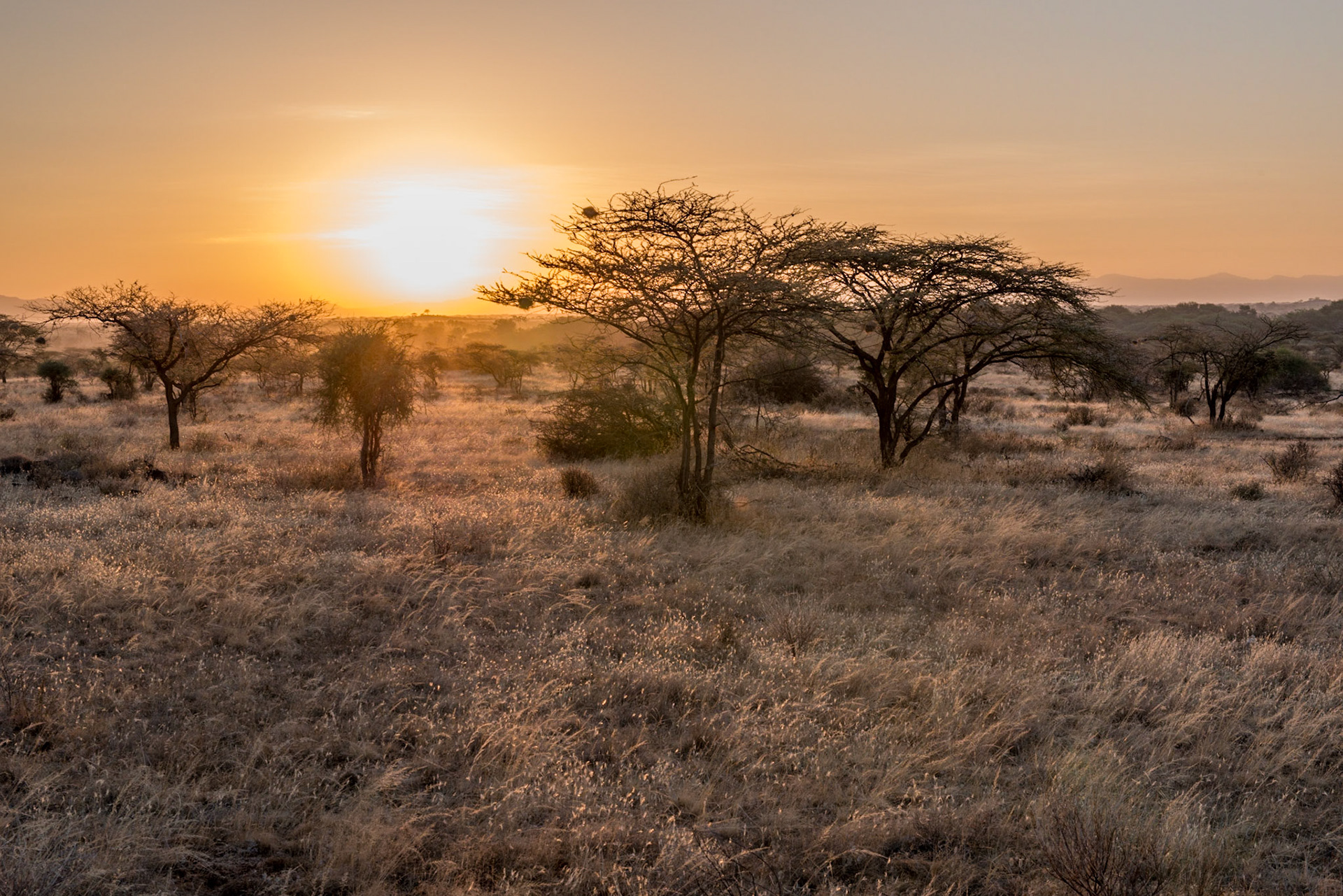 Sonnenaufgang in der Massai Marra
