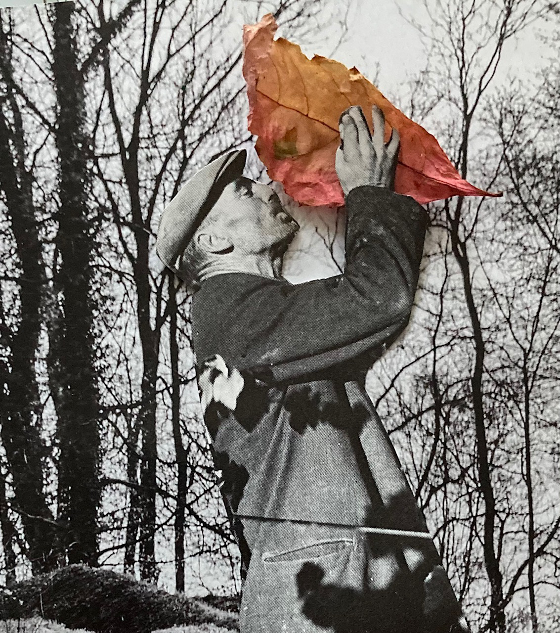 Fall in love with fall (2021)
