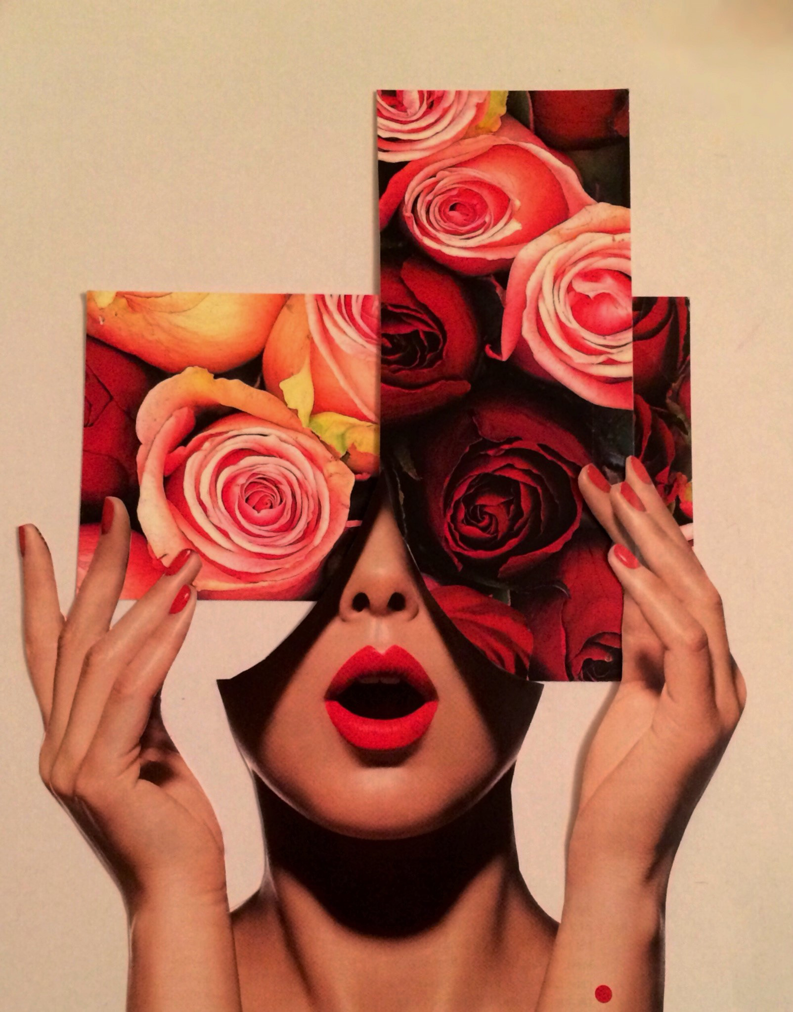 La vie en rose (2016) 