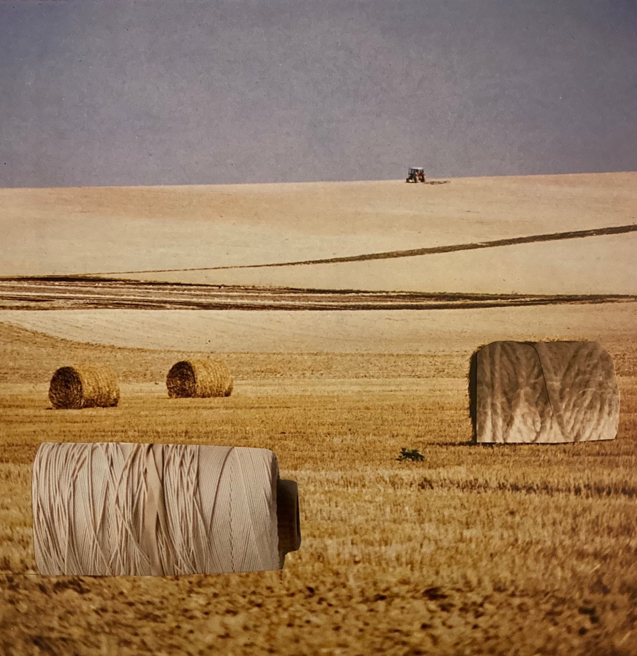 Sianokosy/ Haymaking (2020)
