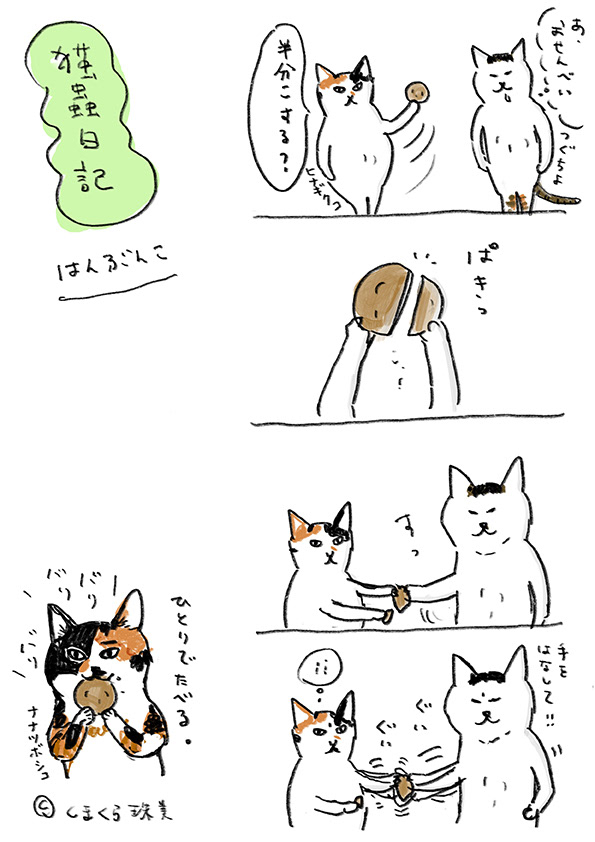 猫蟲日記007